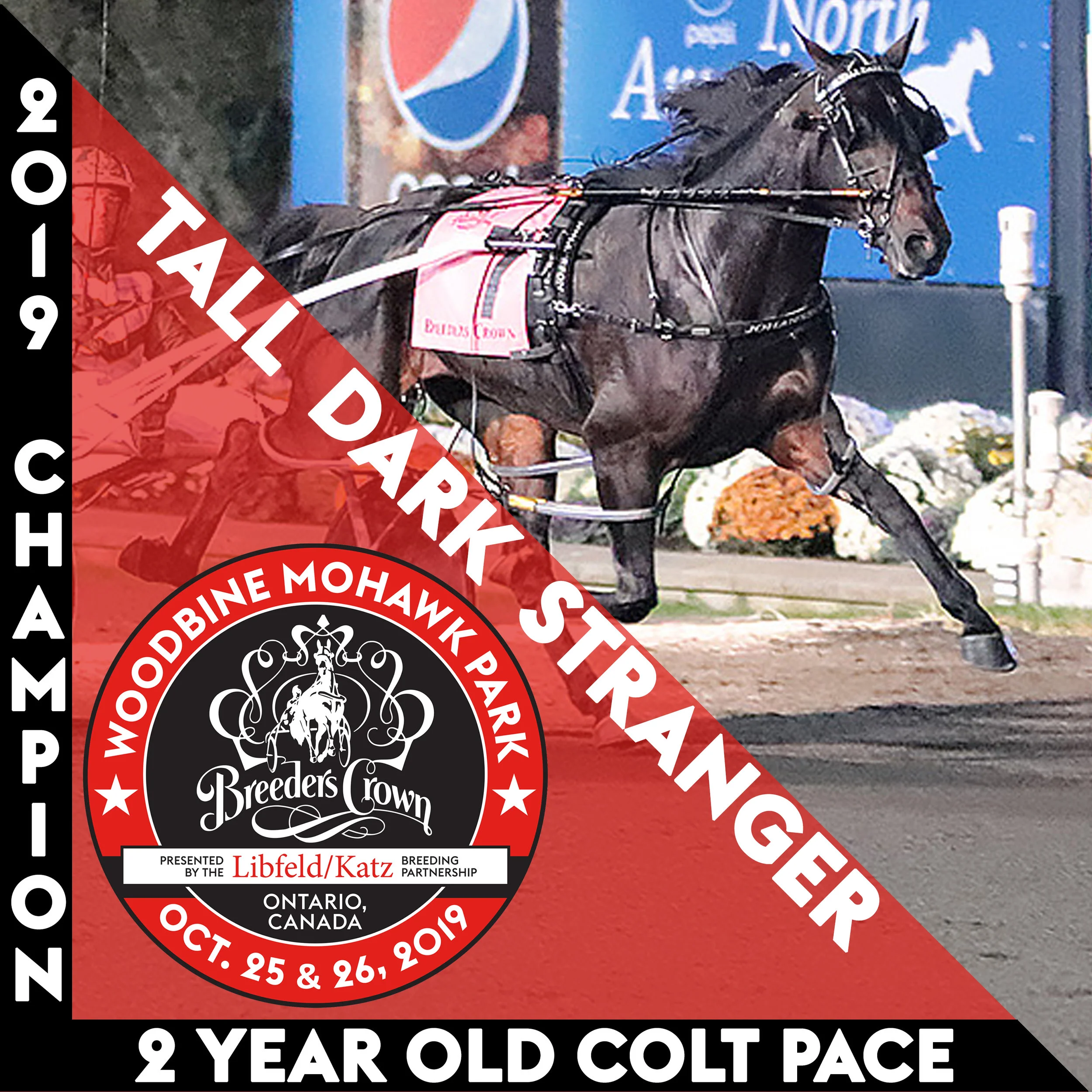 'Papi Rob' disqualifed, Tall Dark Stranger claims Crown