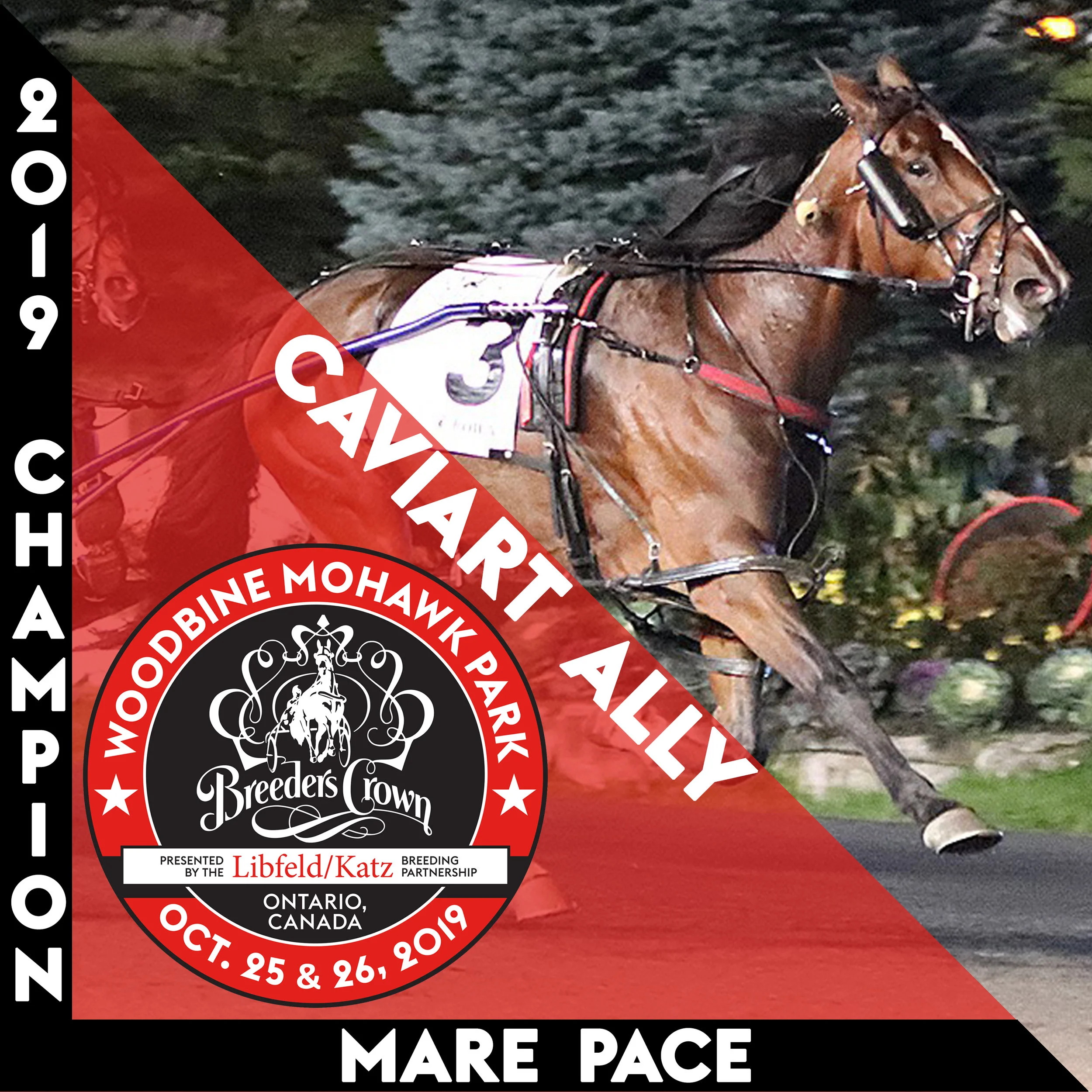 Caviart Ally powers to Crown victory