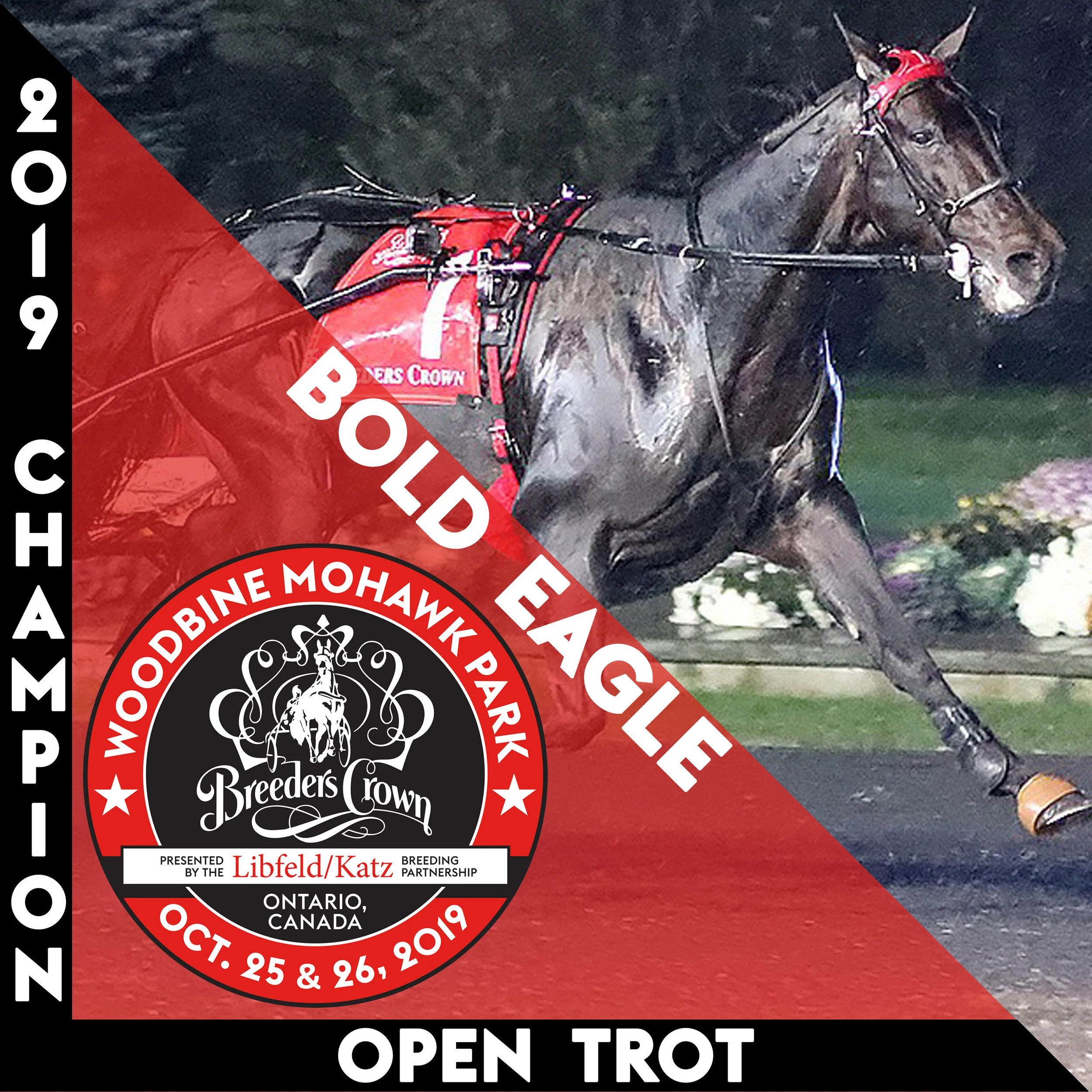 Bold Eagle soars in the rain to Breeders Crown victory