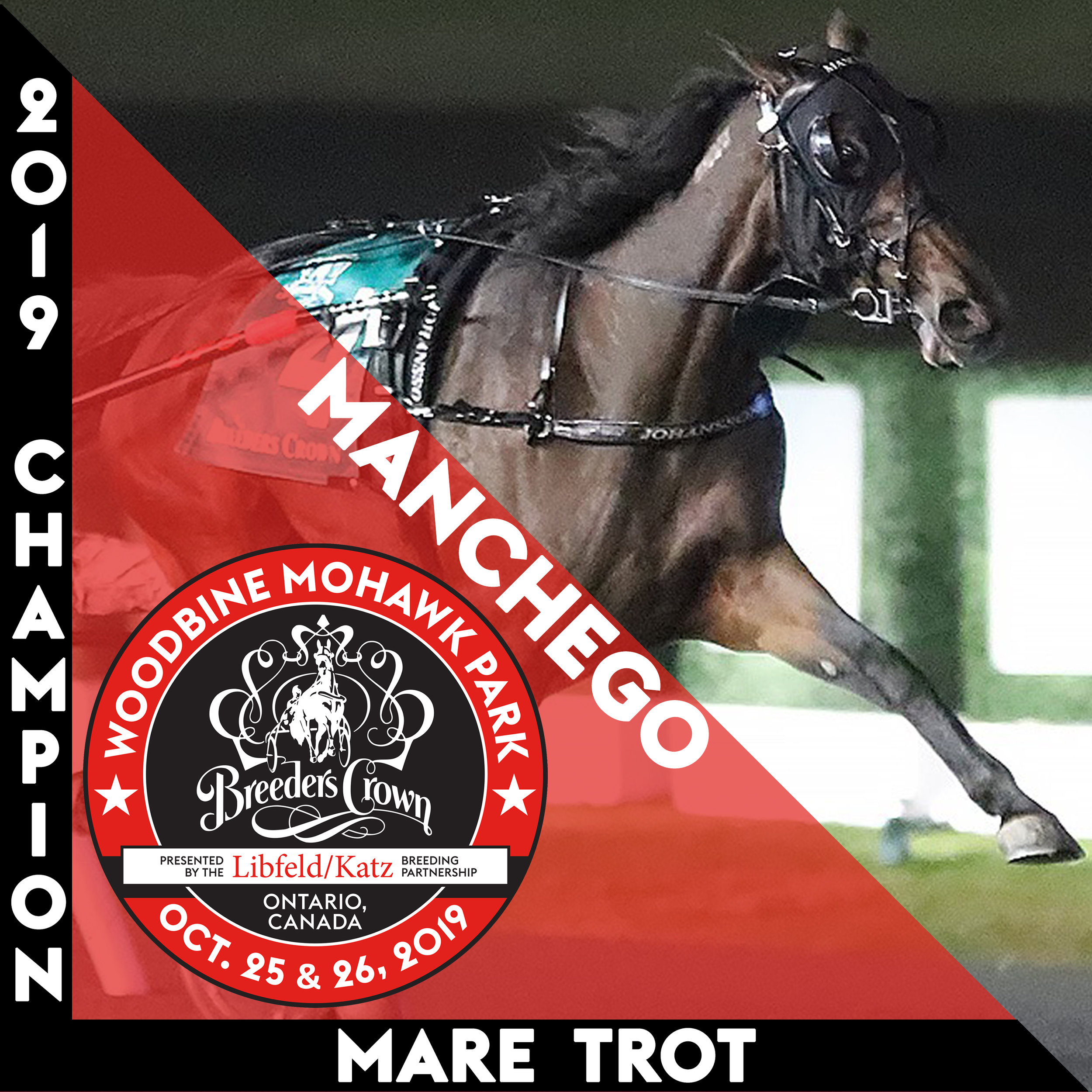 Manchego dominate in Crown victory