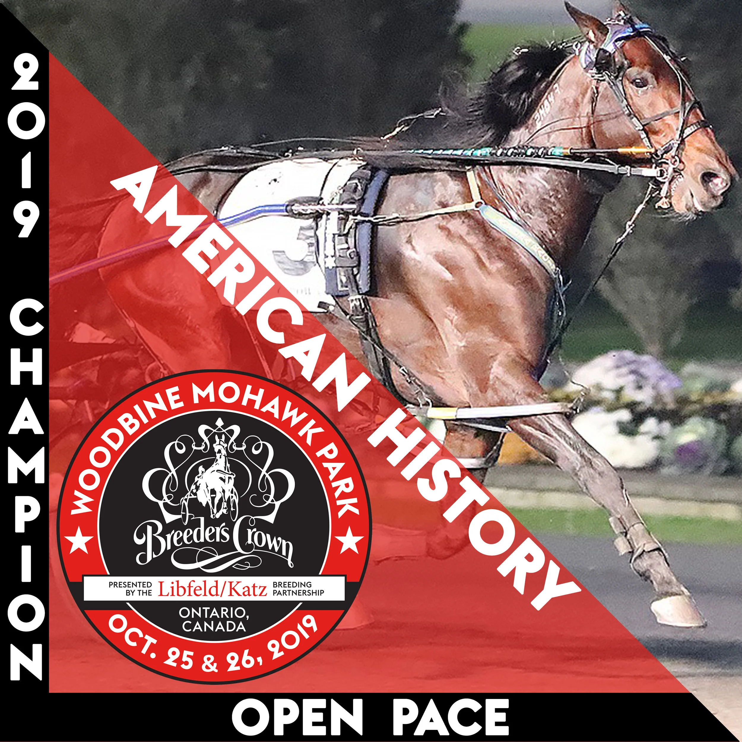 American History carves victory in Breeders Crown Open Pace