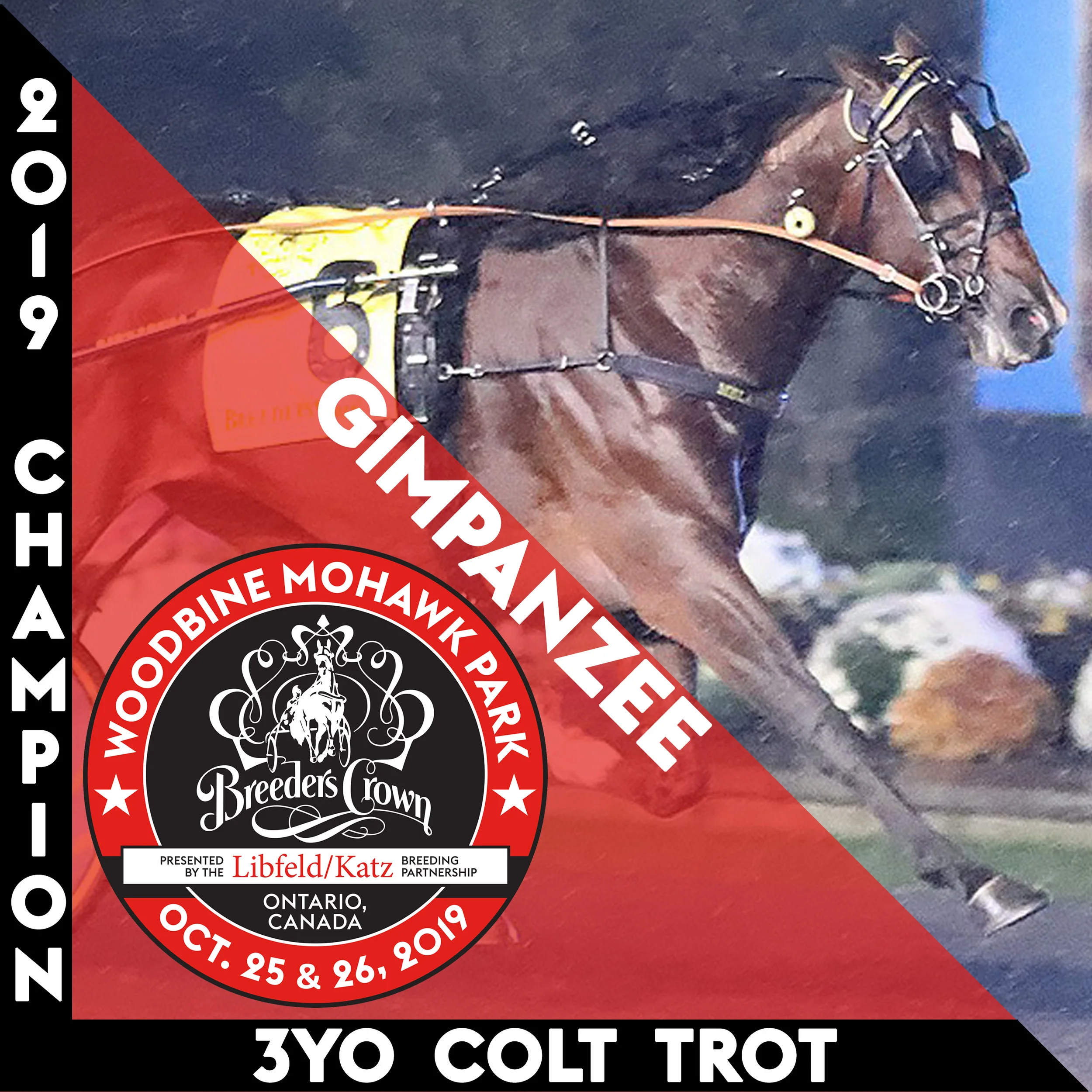 Gimpanzee grabs second Crown trophy