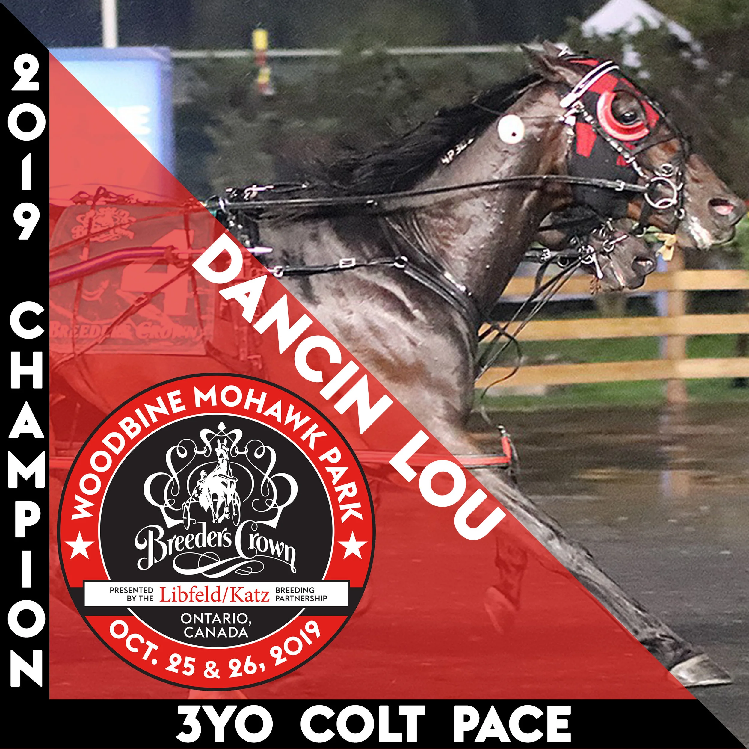 Dancin Lou wins Breeders Crown by a head