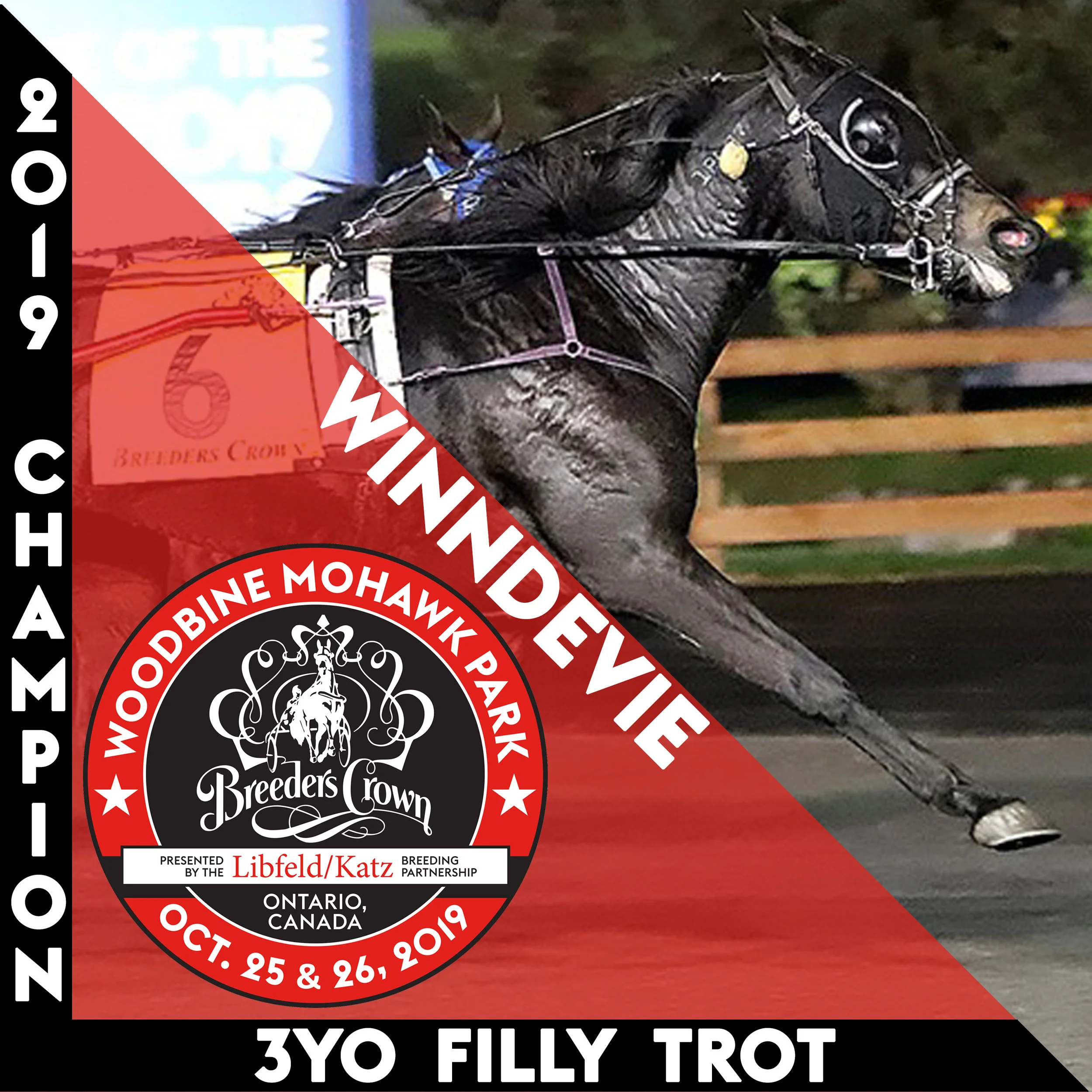 Winndevie much the best in Crown