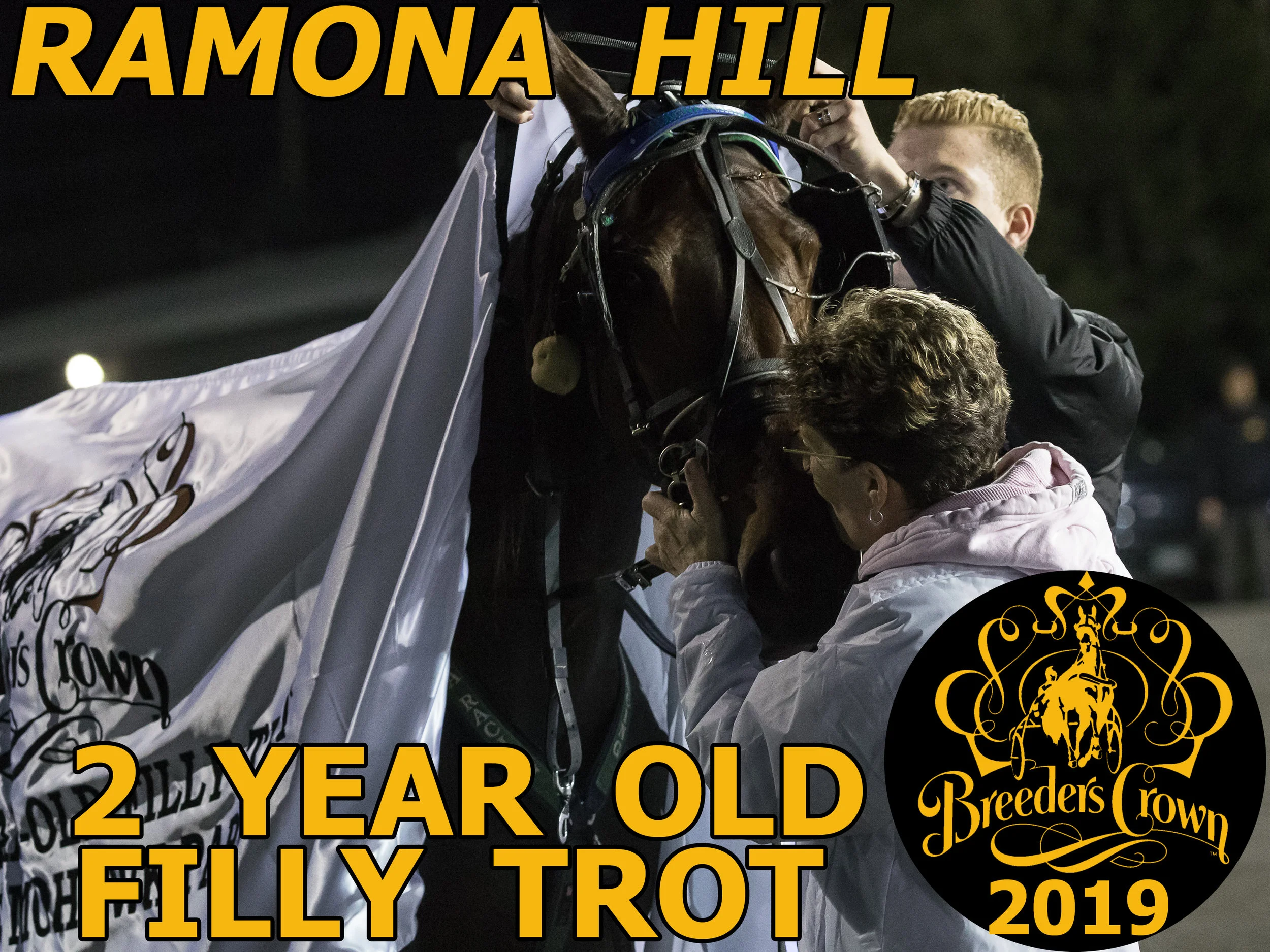 Ramona Hill - 2FT