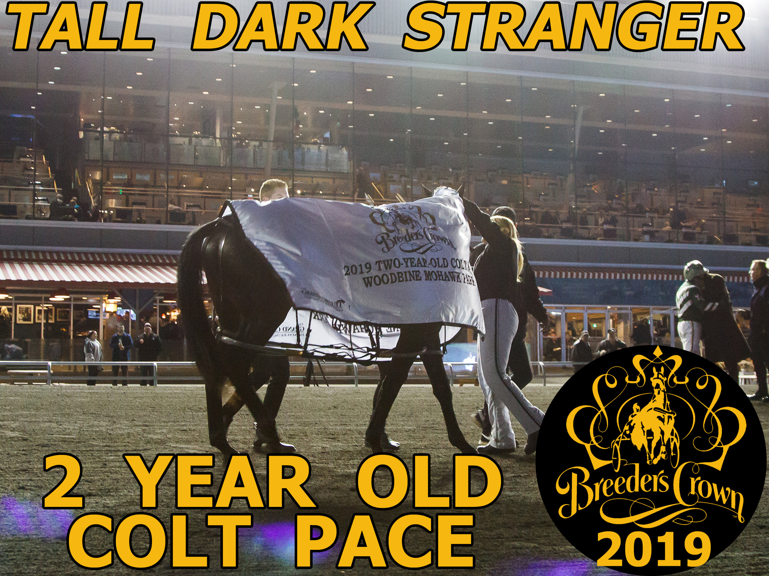 Tall Dark Stranger - 2CP
