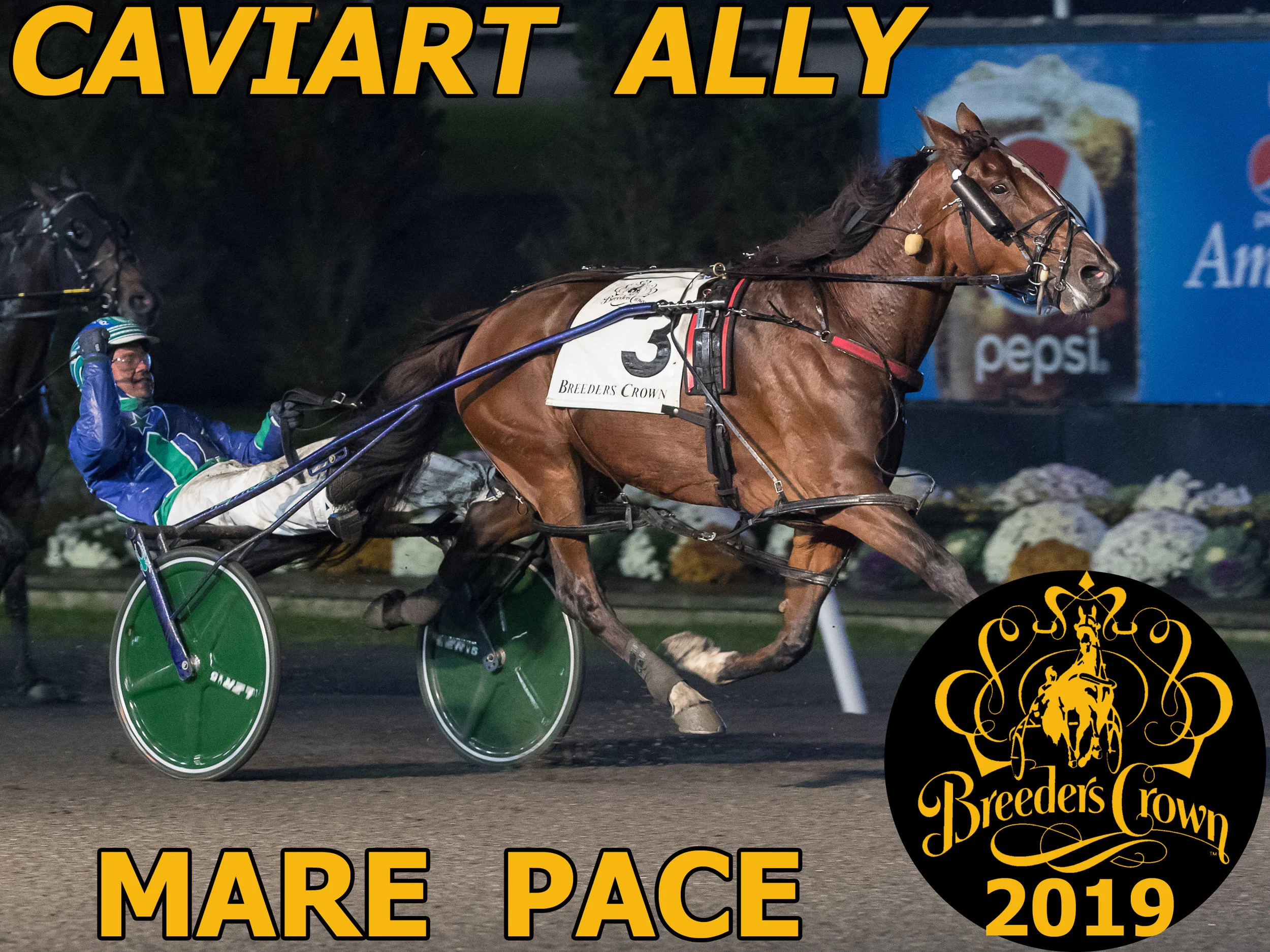 Caviart Ally - Mare Pace