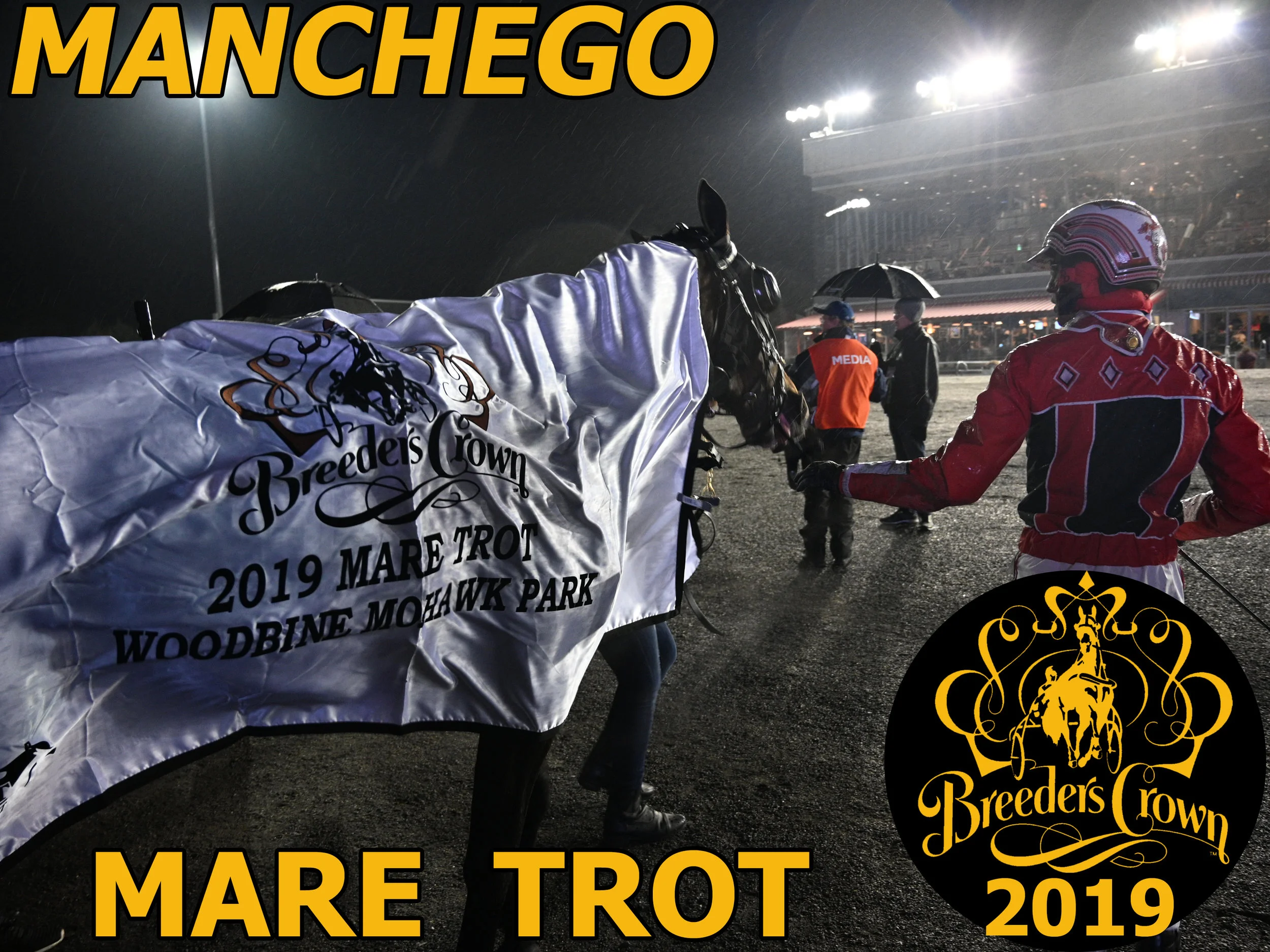 Manchego - Mare Trot