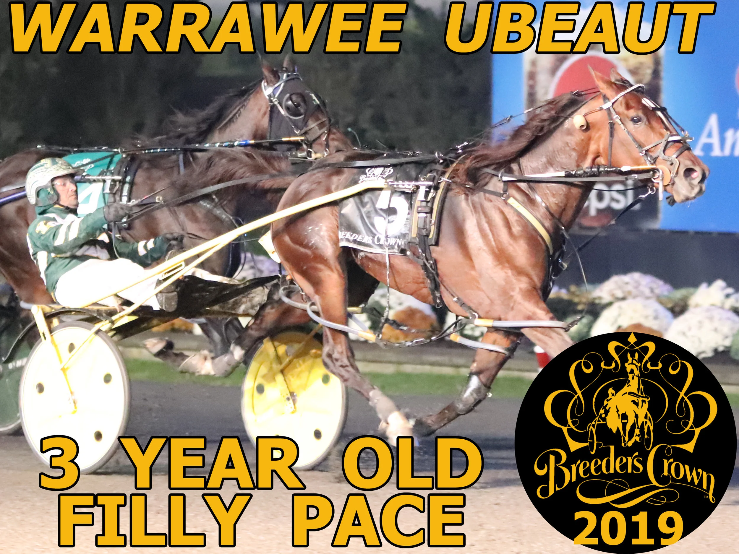 Warrawee Ubeaut -3FP
