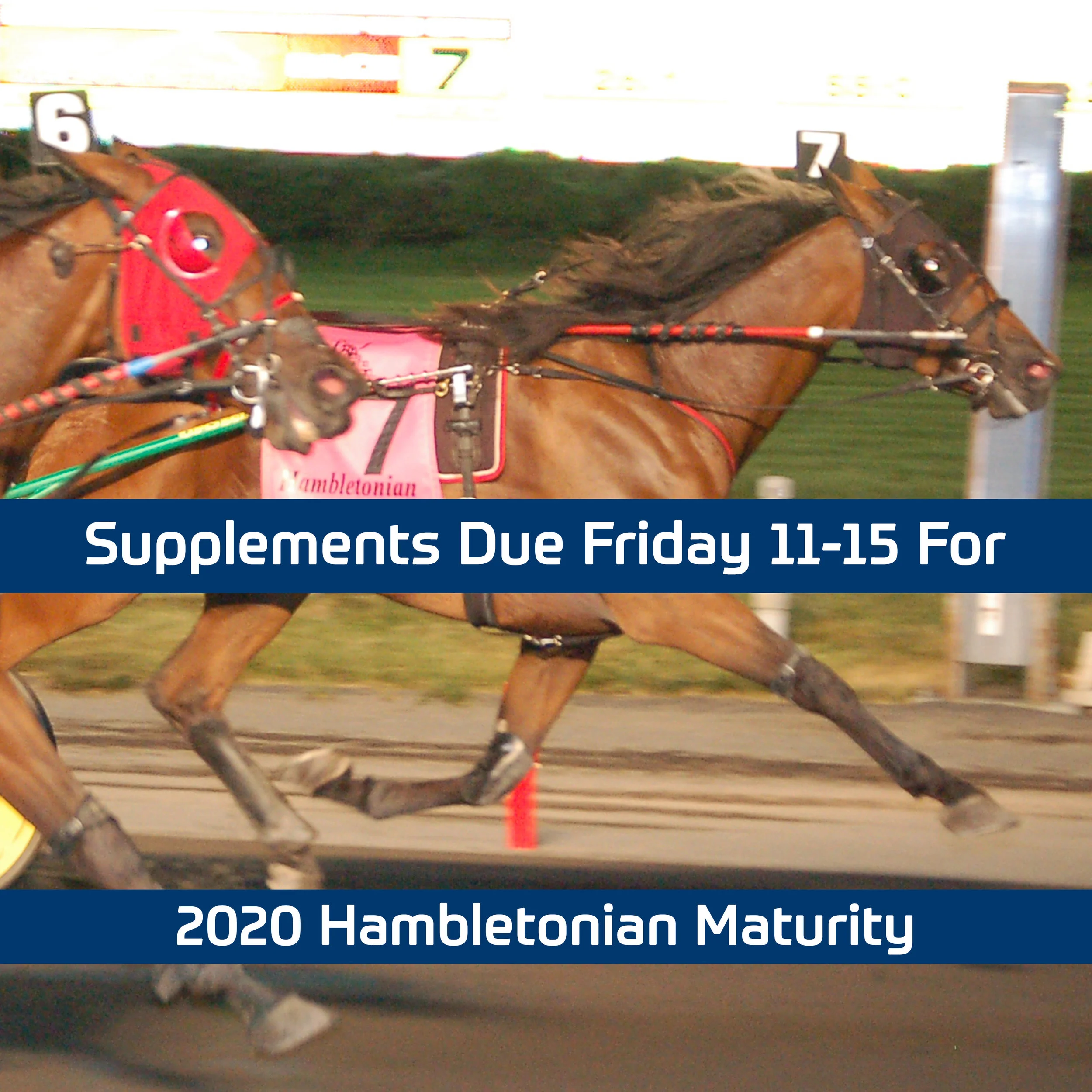 2020 Hambletonian Maturity Supplements Due Friday, Nov. 15