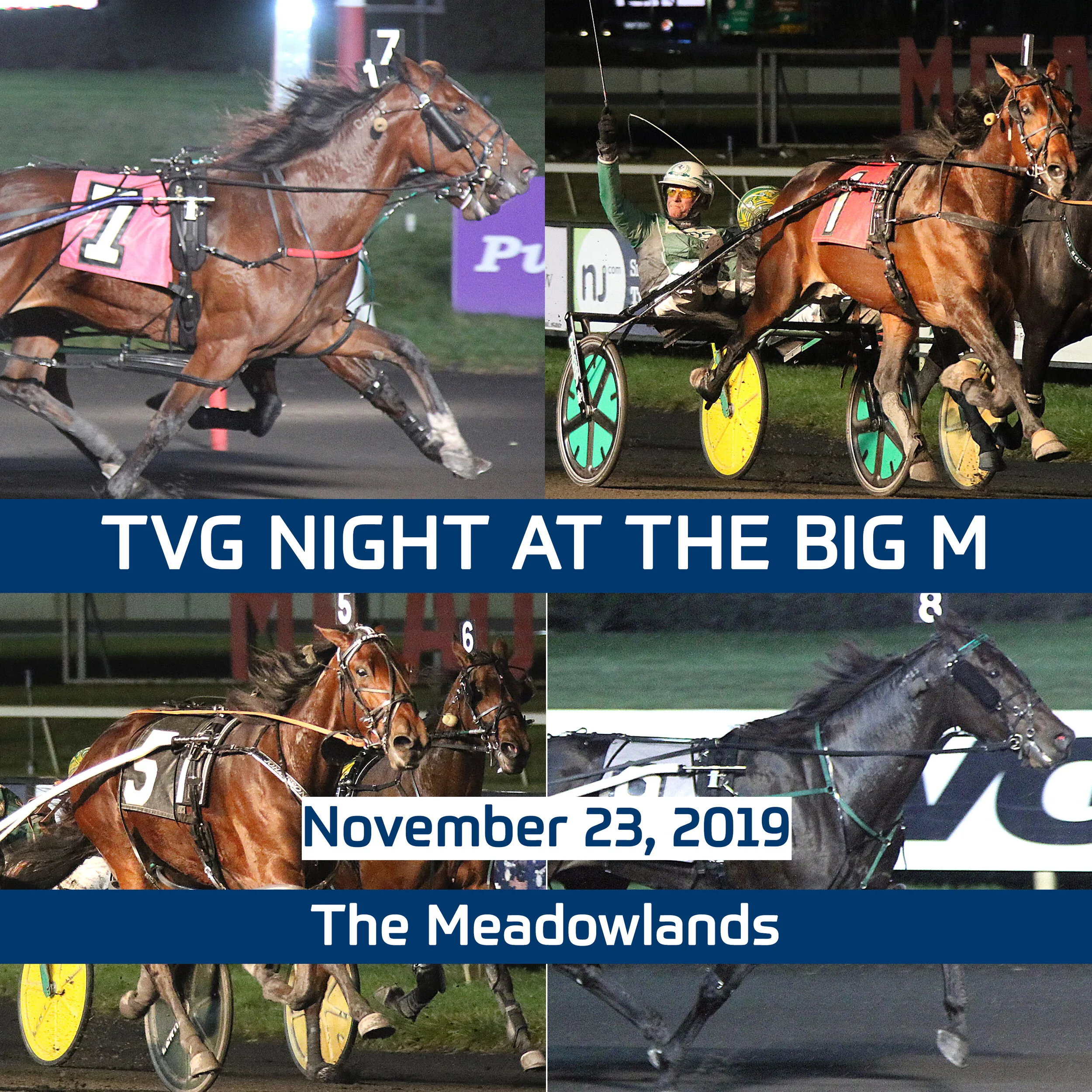 3 Year Olds tackle older foes, Manchego take on the boys, and 2 year olds shine on TVG night