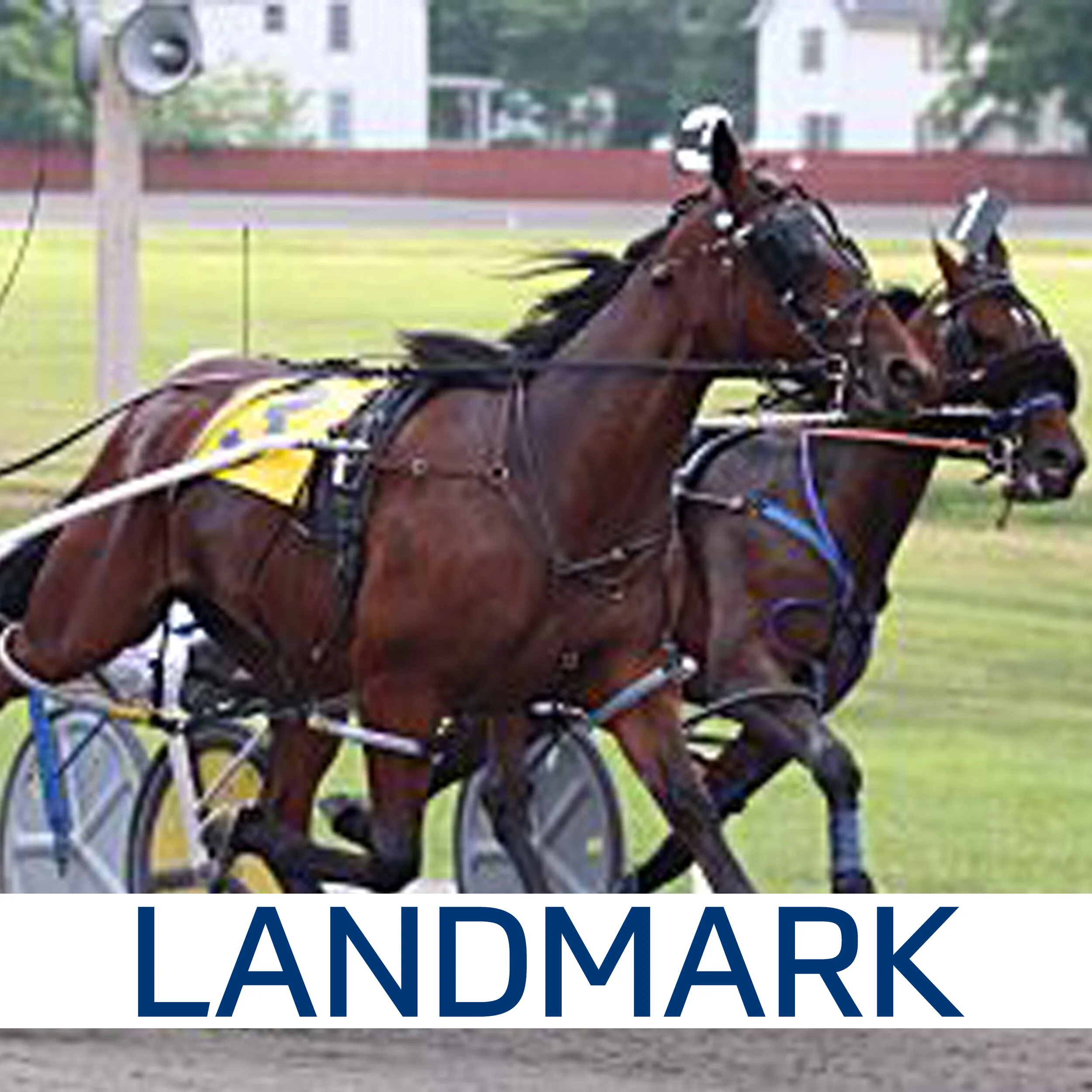 Hambletonian Society