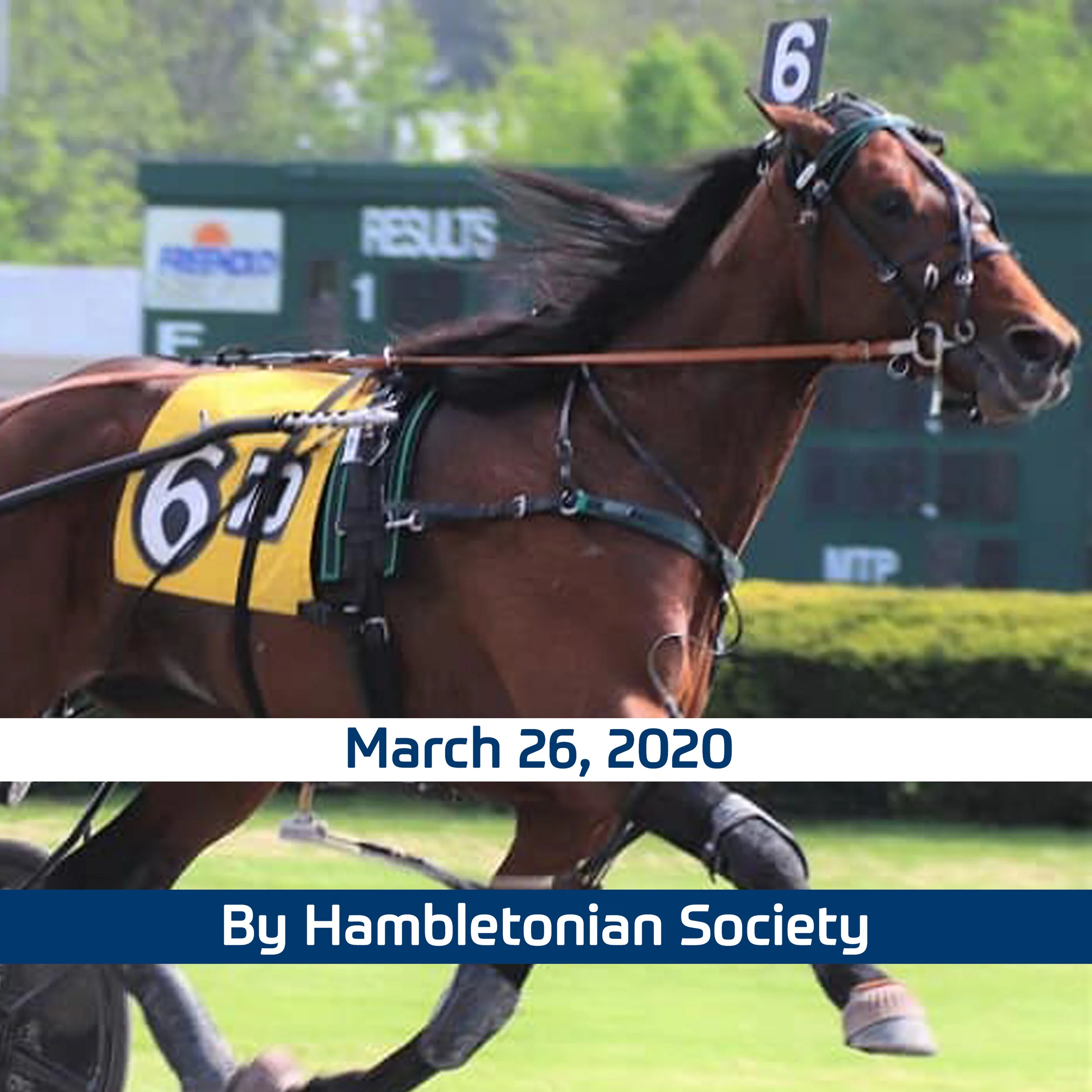 April 15 Stakes Payment Statement