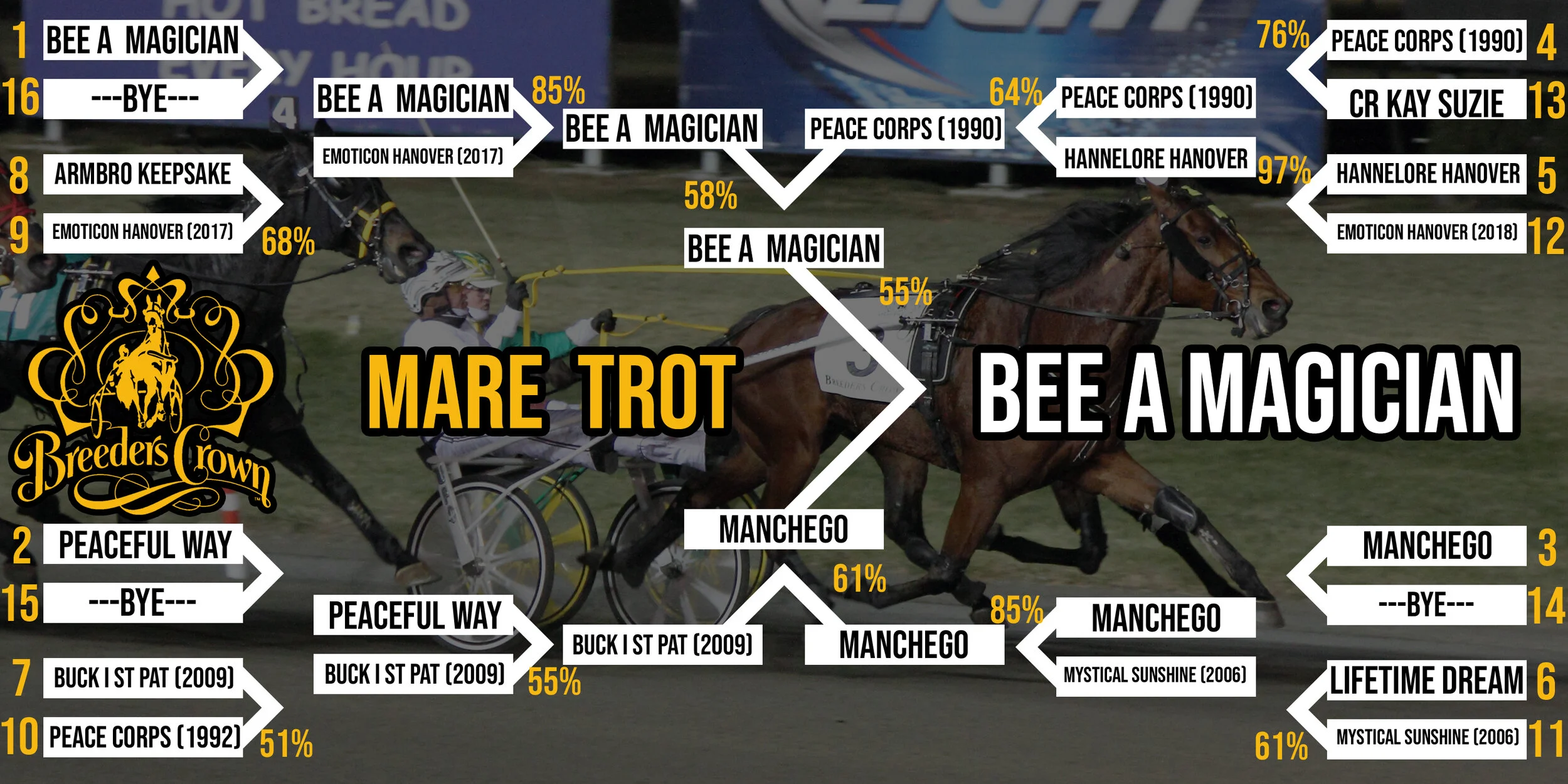 bc bracket mare trot.jpg