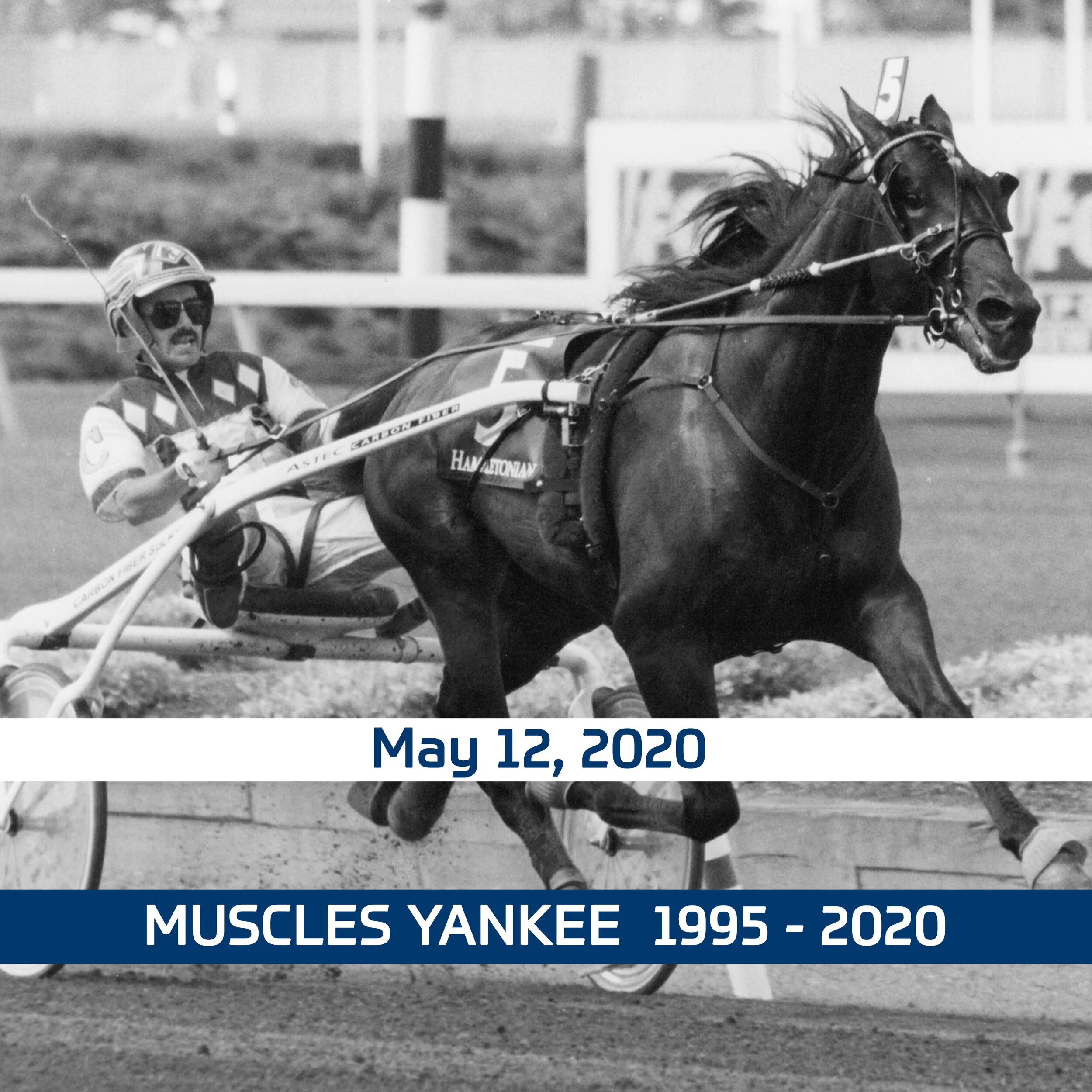 Muscles Yankee dies at Perretti Farms at 25