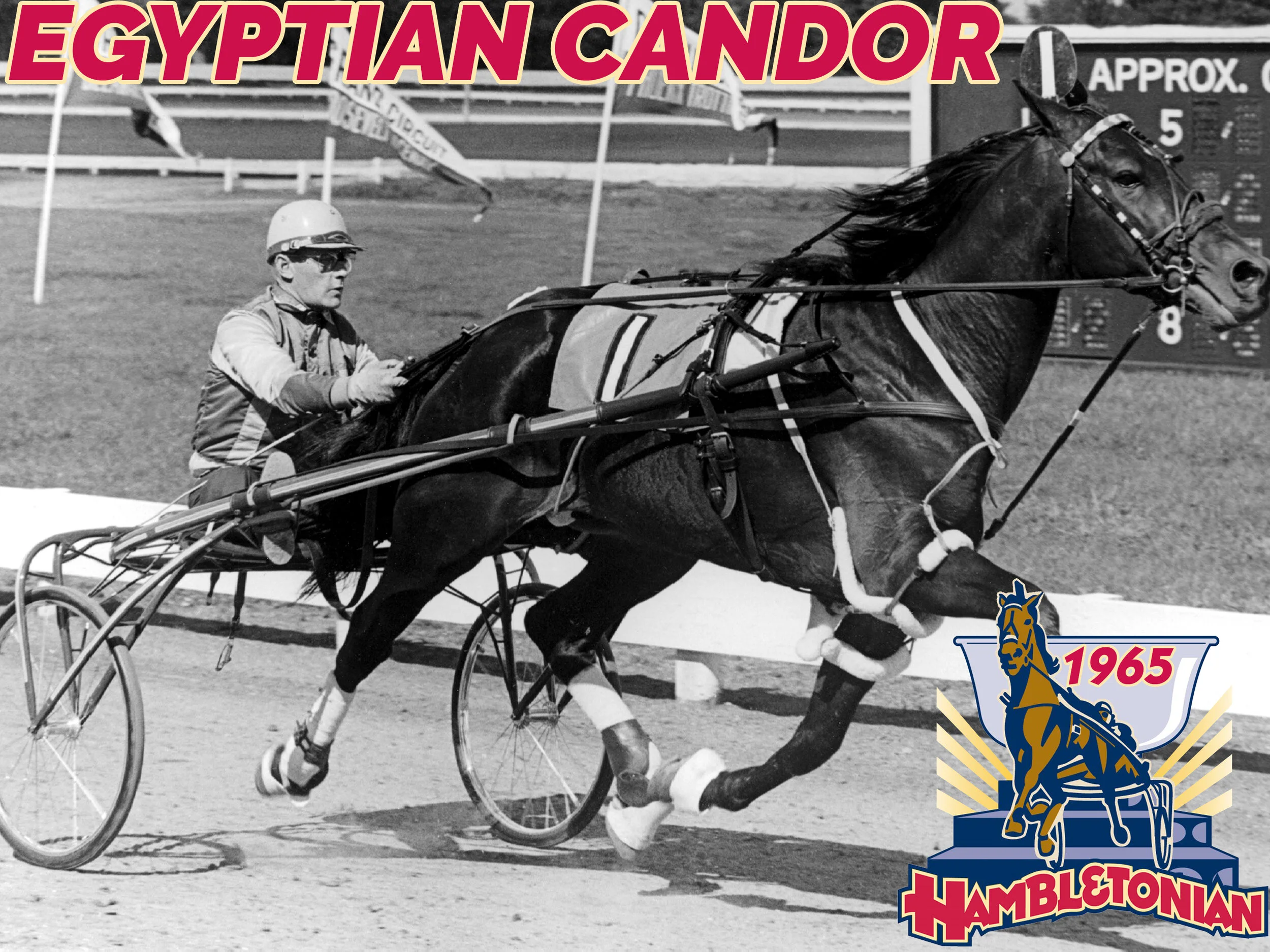 Egyptian Candor - 1965