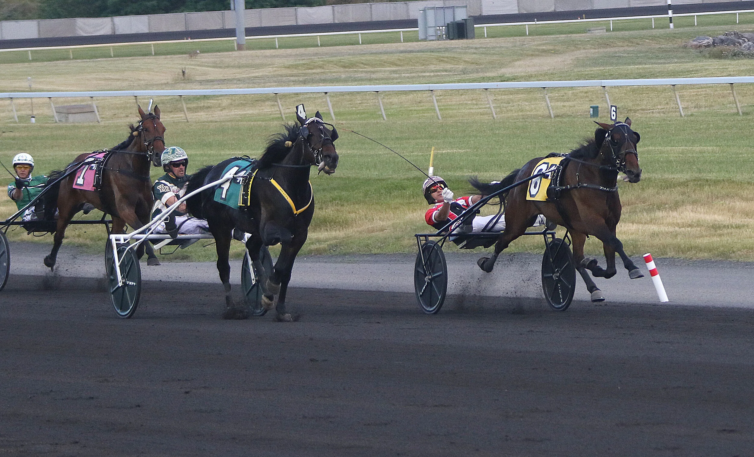 PHOTO: Manchego (6) outduels Atlanta by a nose in the Miss Versatility at the Meadowlands Friday night. (Credit: Lisa Photo)