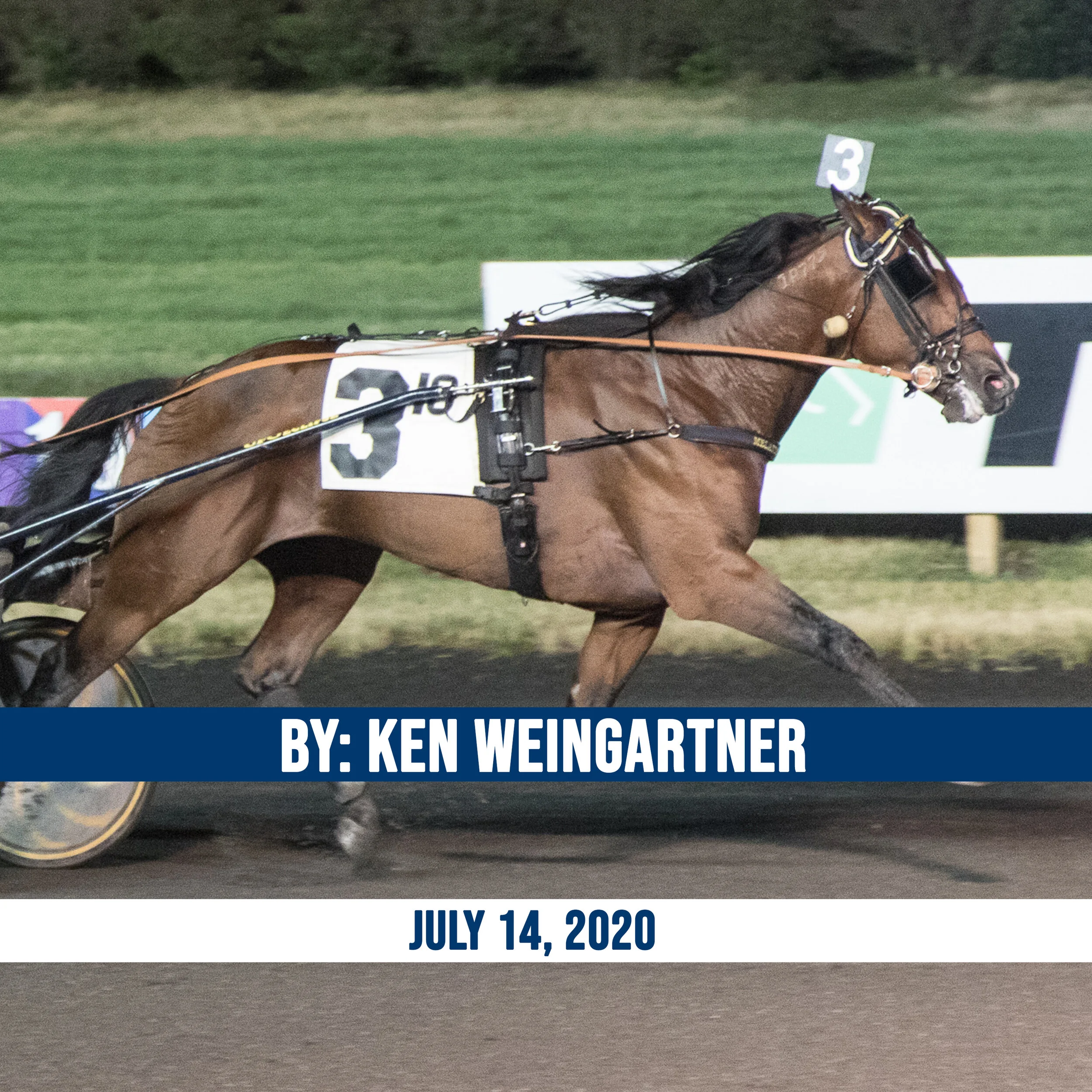 Gimpanzee tops first Hambletonian Society/Breeders Crown Poll