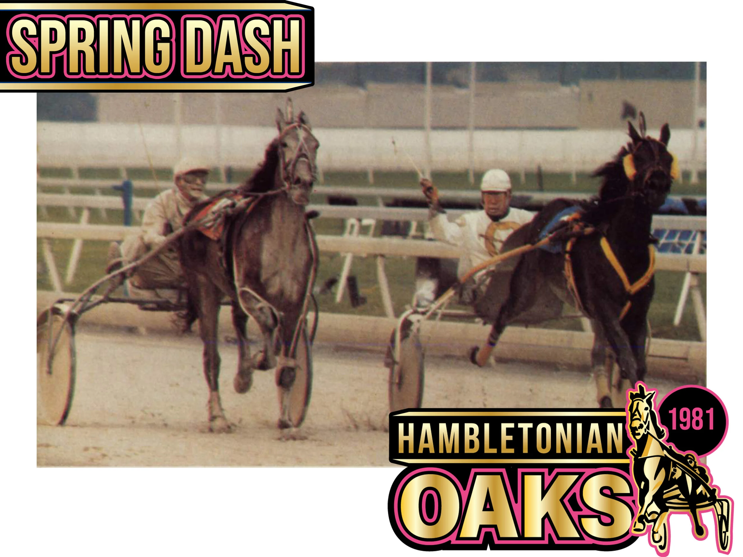 Spring Dash - 1981