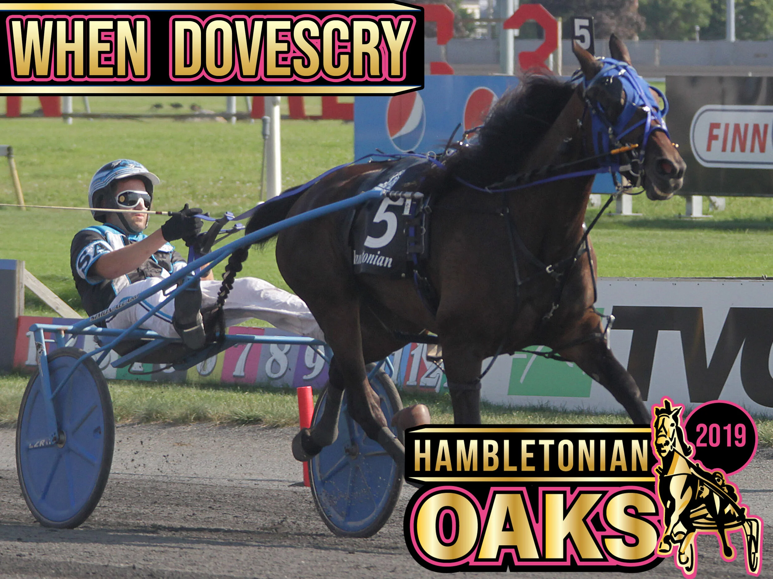 When Dovescry - 2019