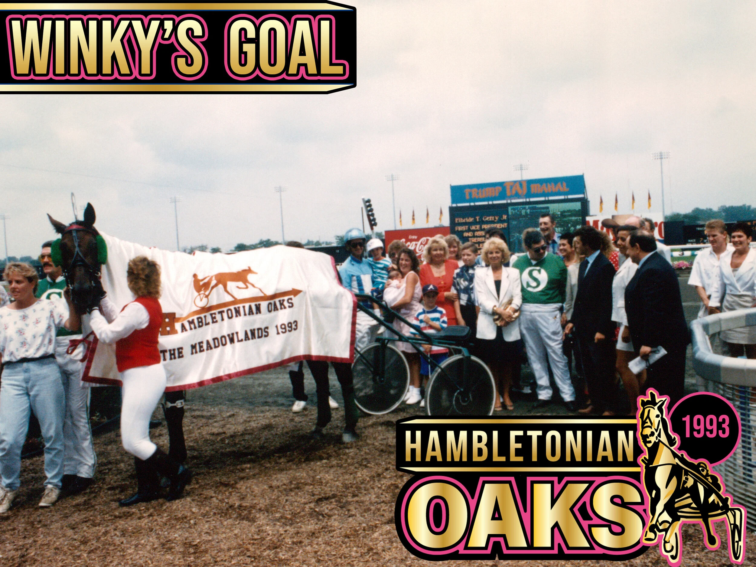 Winky's Goal - 1993