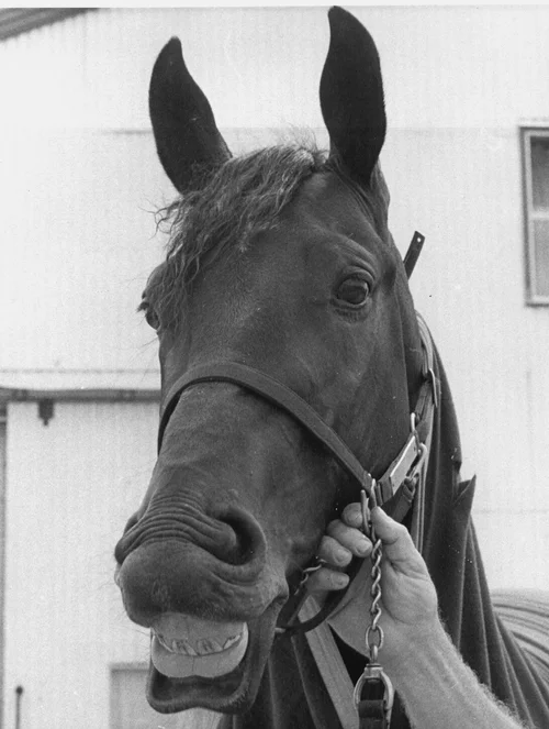 2022 Hambletonian media Guide — Hambletonian Society Inc