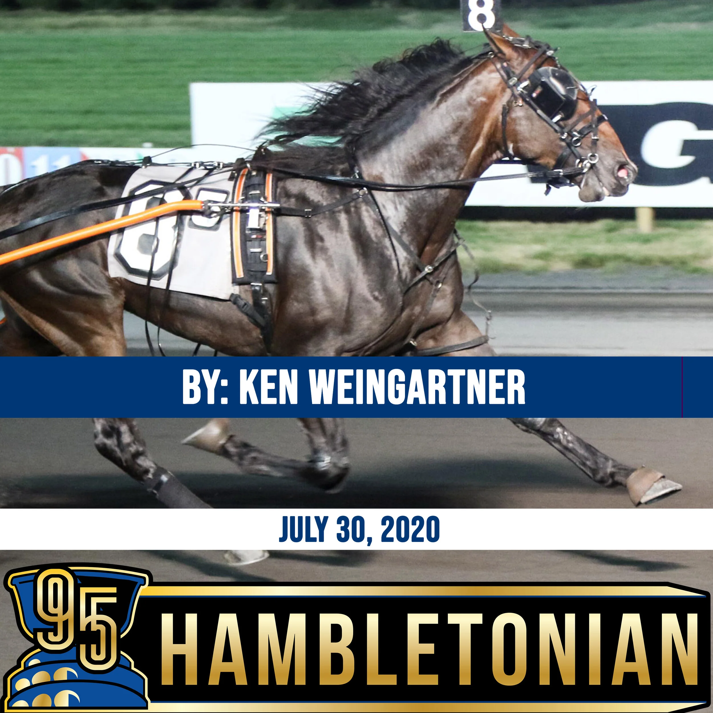  Hambletonian present and possibly future for trainer Julie Miller