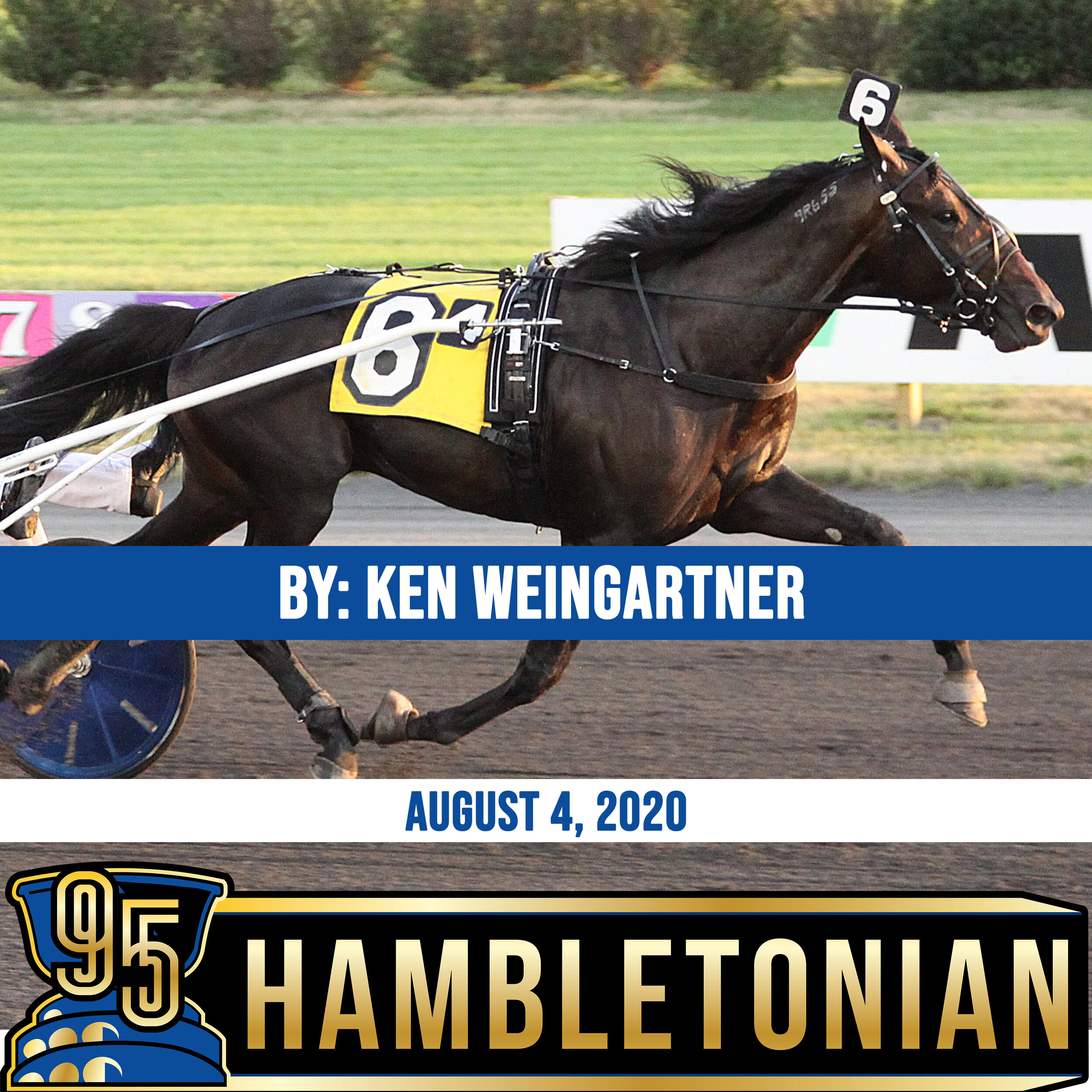  Mother and son hope for Hambo hurrah with Back Of The Neck