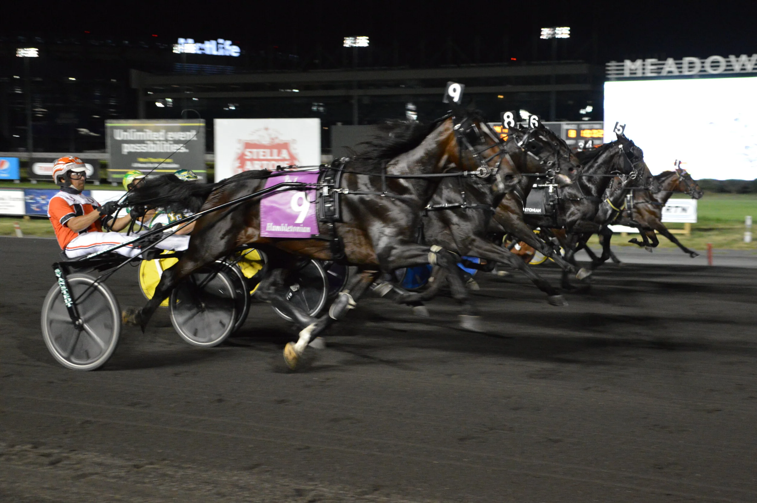 2021 Hambletonian Media Guide — Hambletonian Society Inc