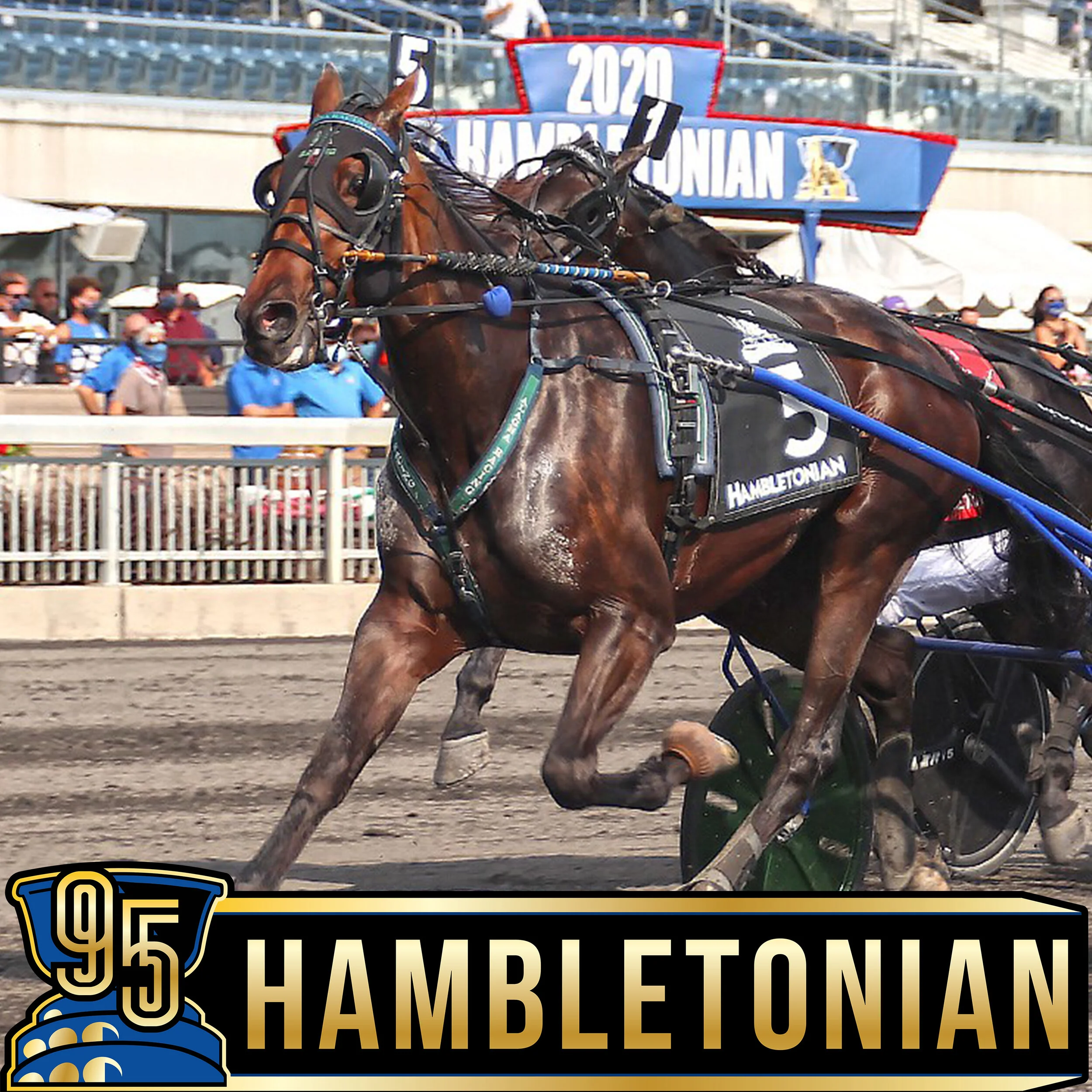  Ramona Hill beats the boys in Hambletonian