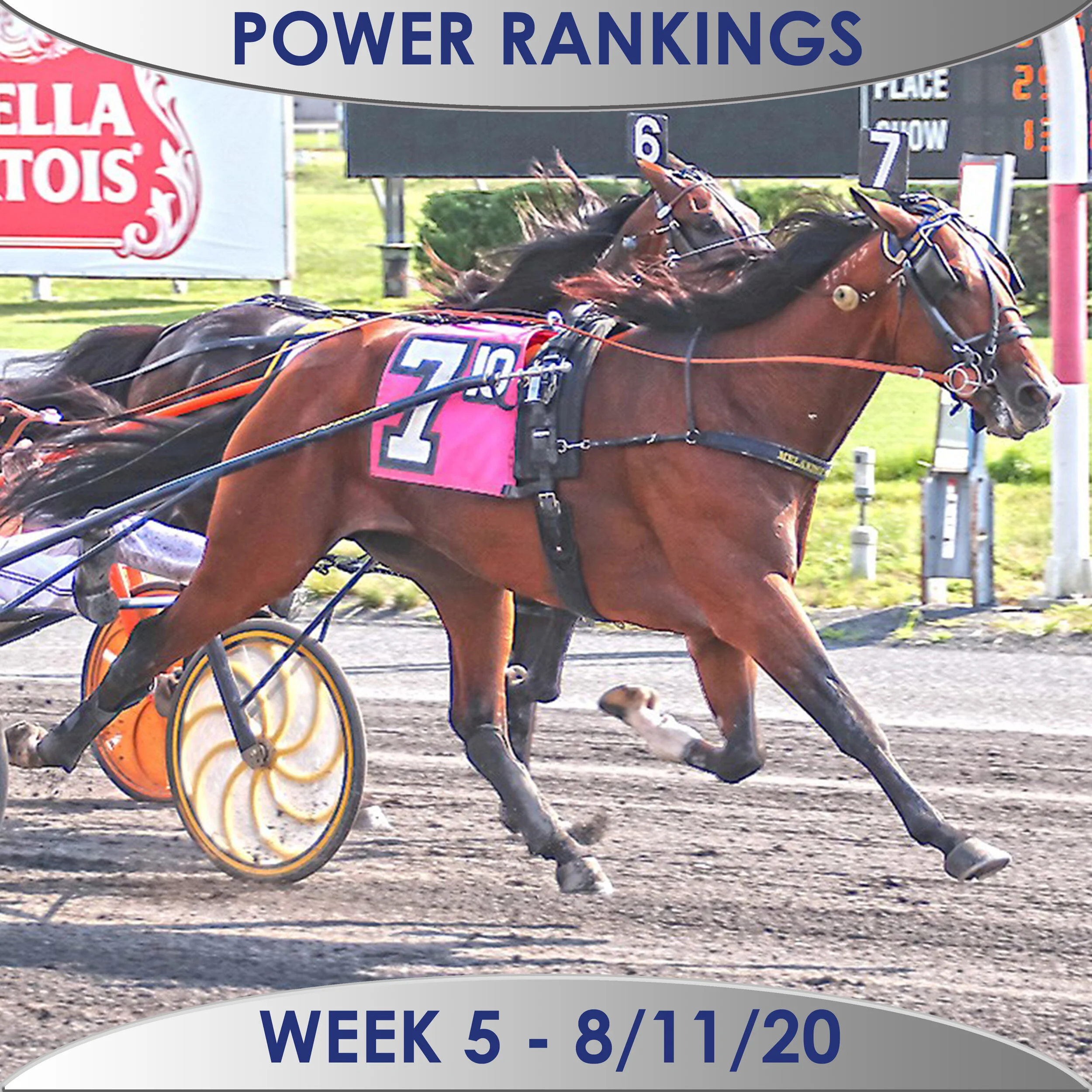 Gimpanzee remains No. 1 in  poll