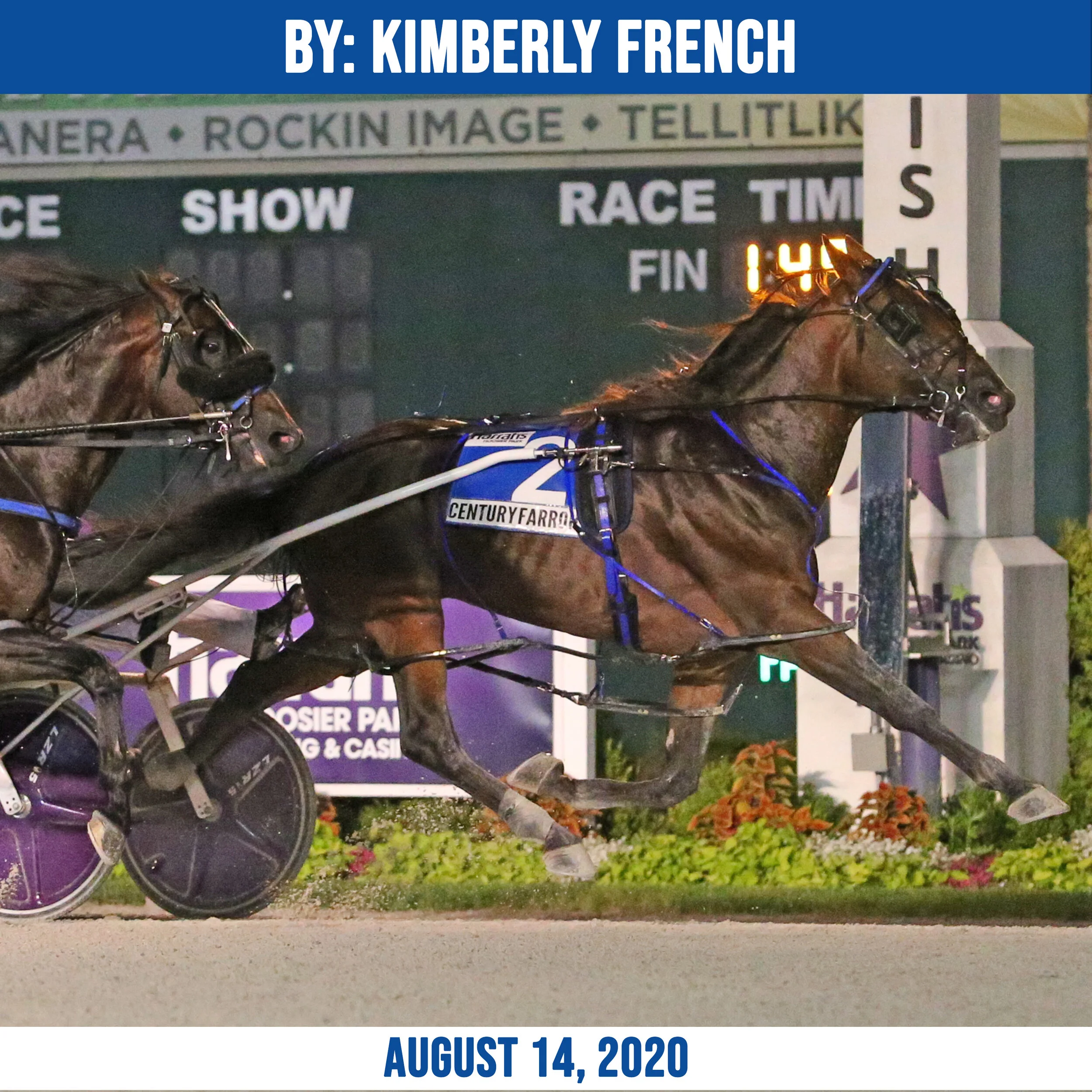 Dan Patch — Hambletonian Society Inc
