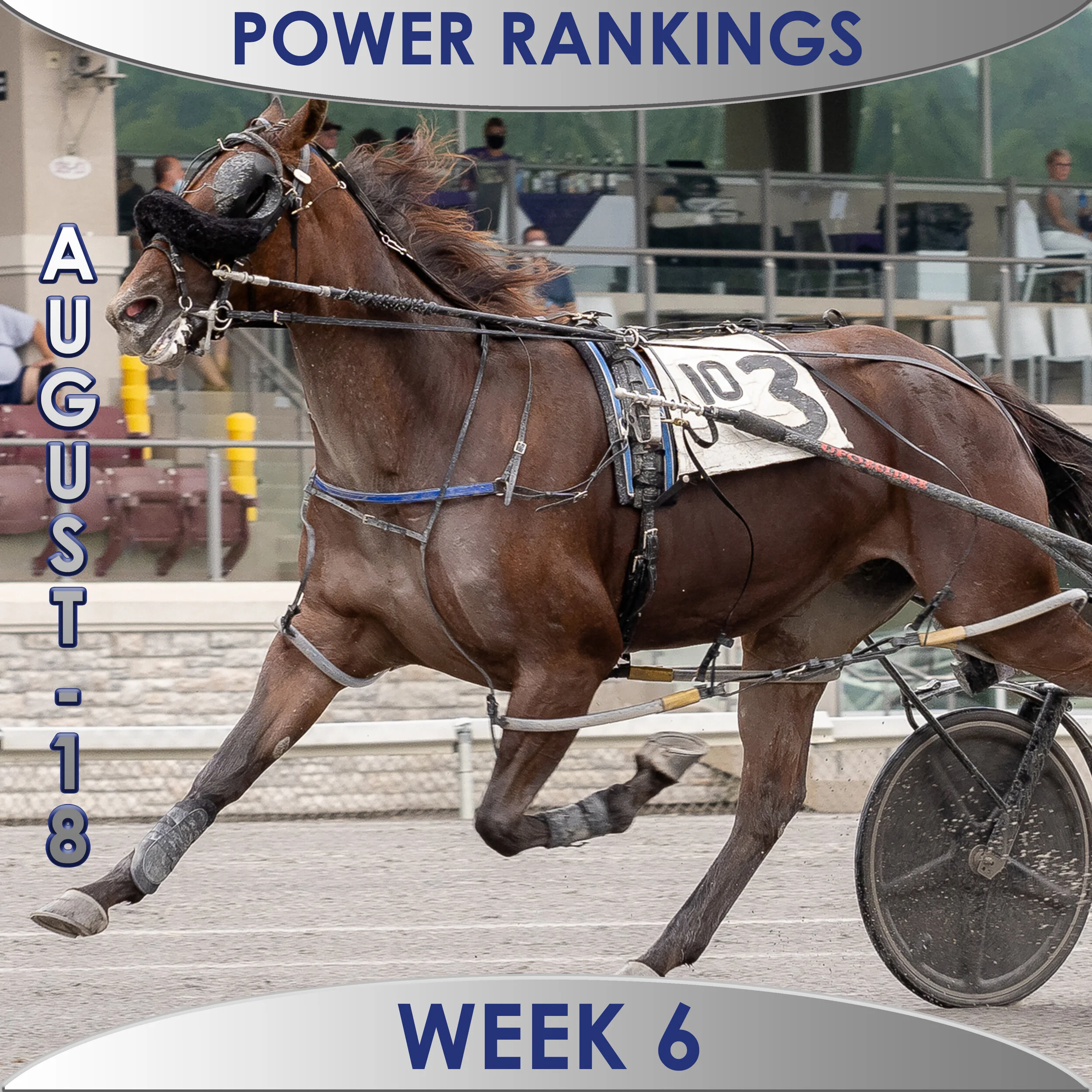  Gimpanzee’s lead narrows to two points in poll