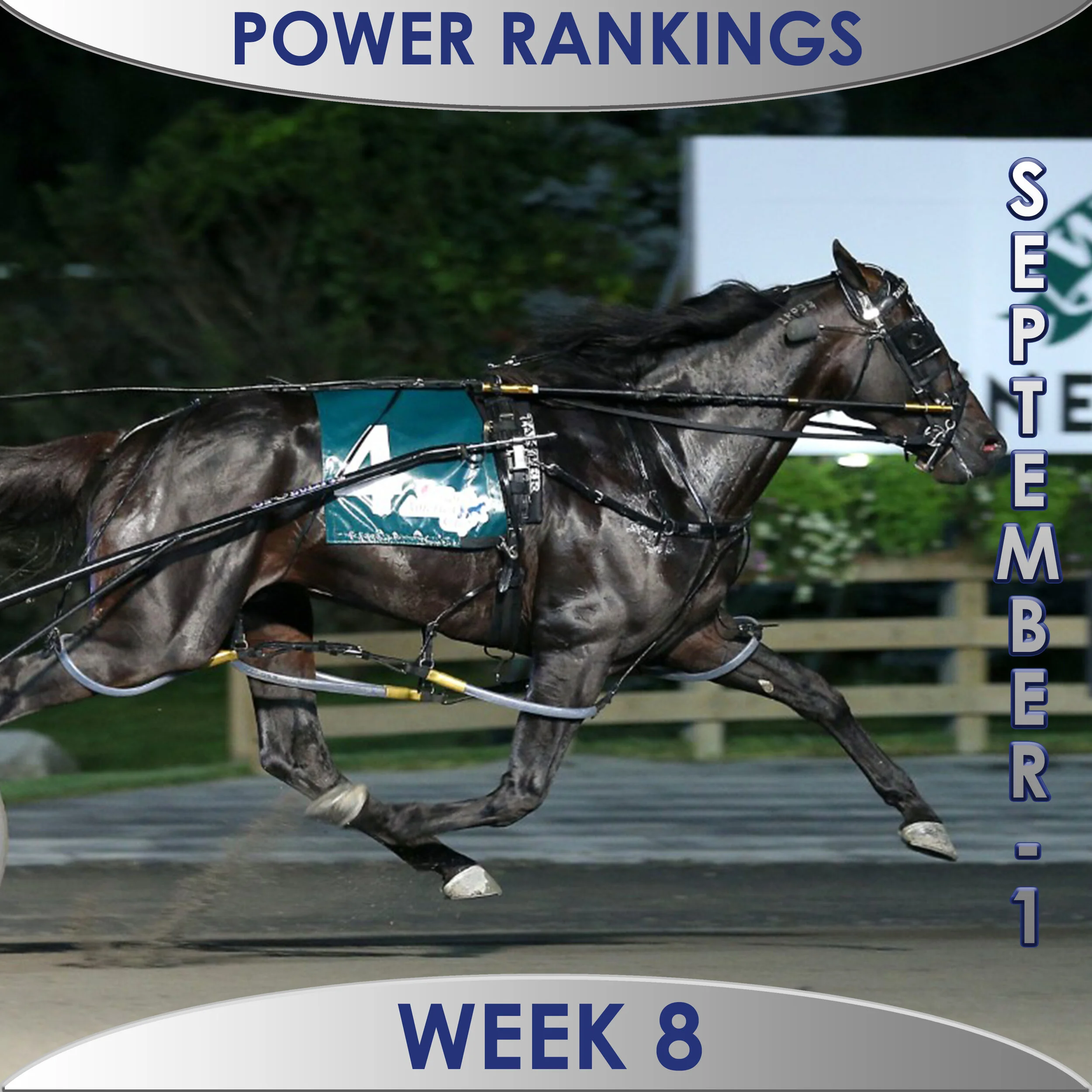 Ramona Hill holds narrow lead over Tall Dark Stranger in poll