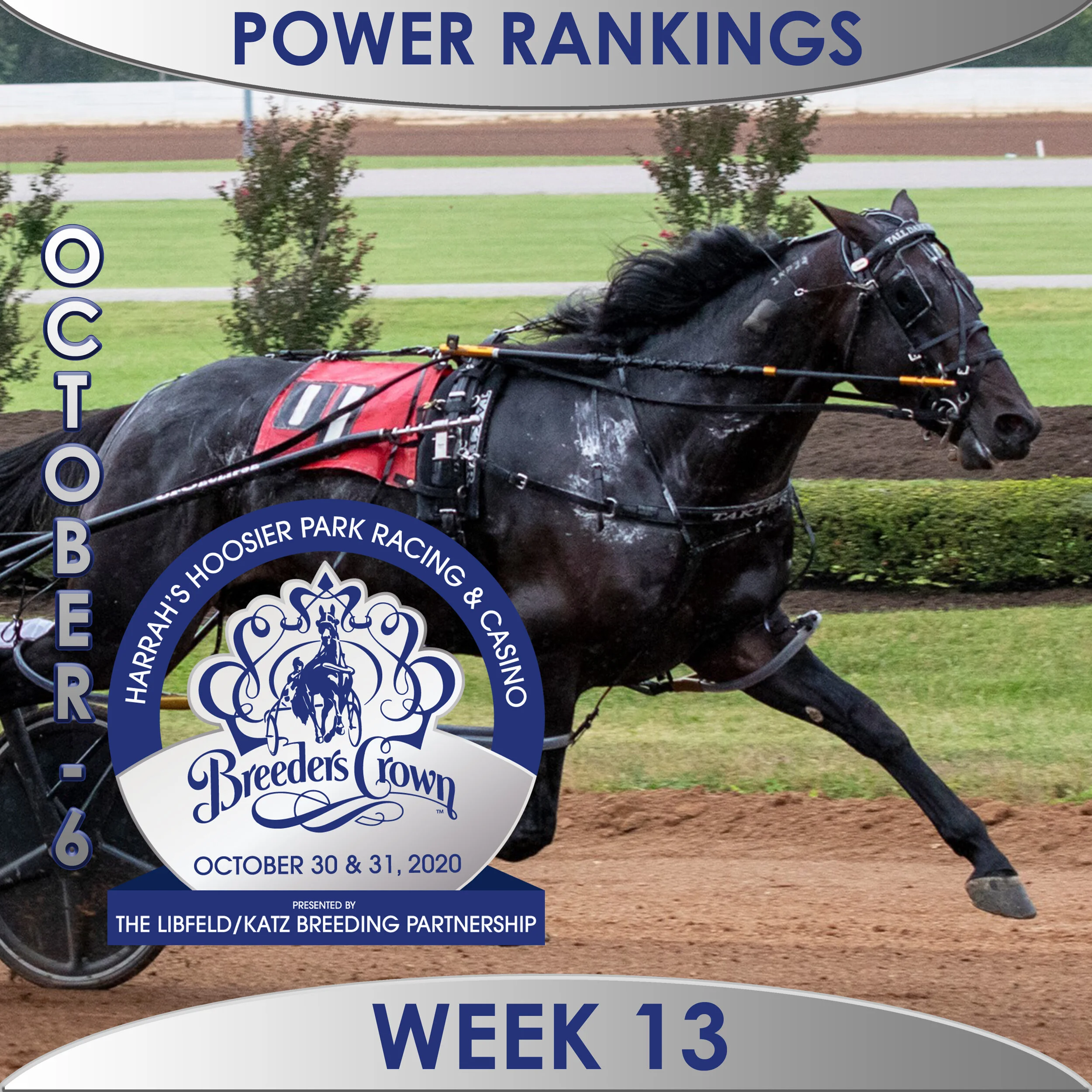  Tall Dark Stranger takes over top spot in poll