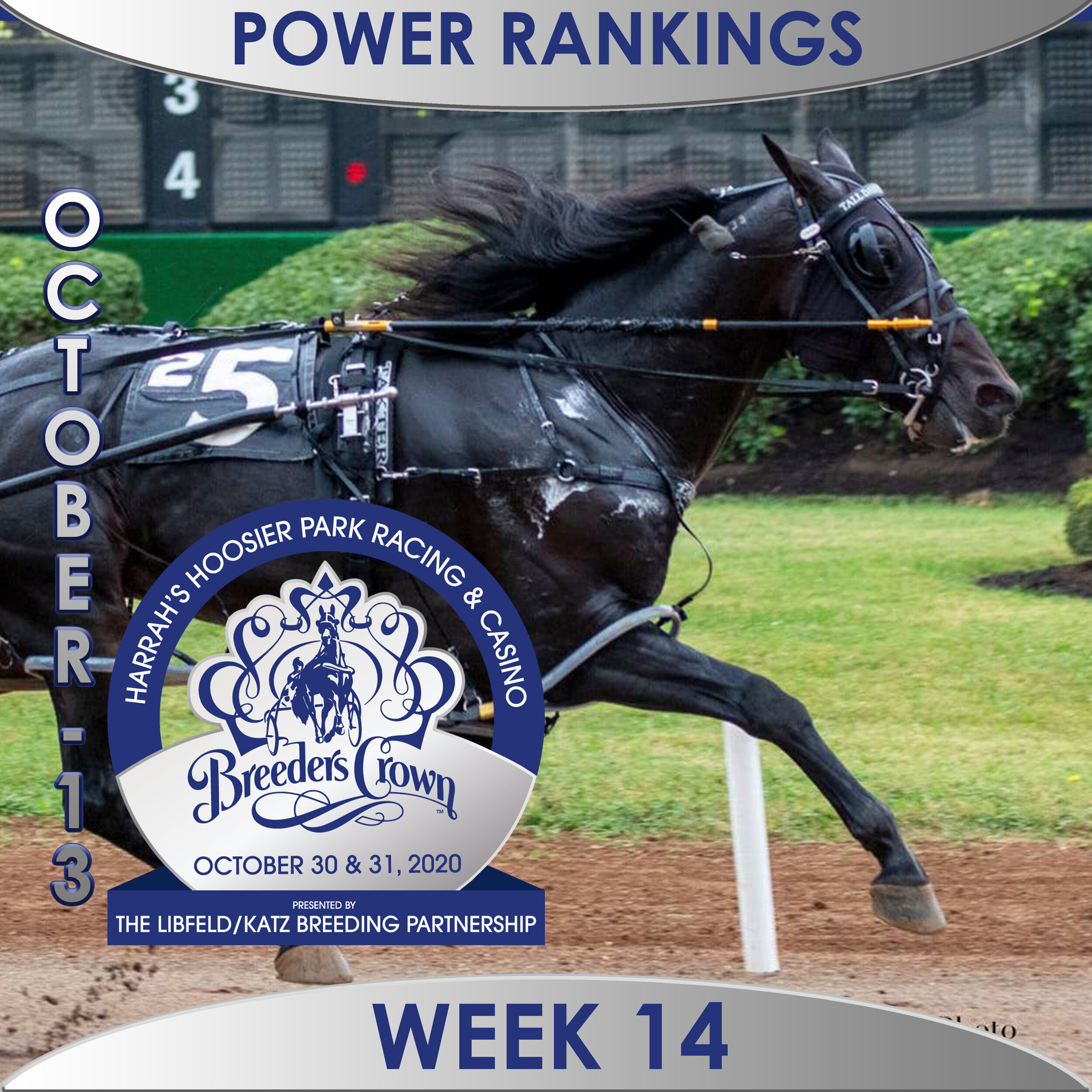  Tall Dark Stranger remains on top of poll; Party Girl Hill now No. 2