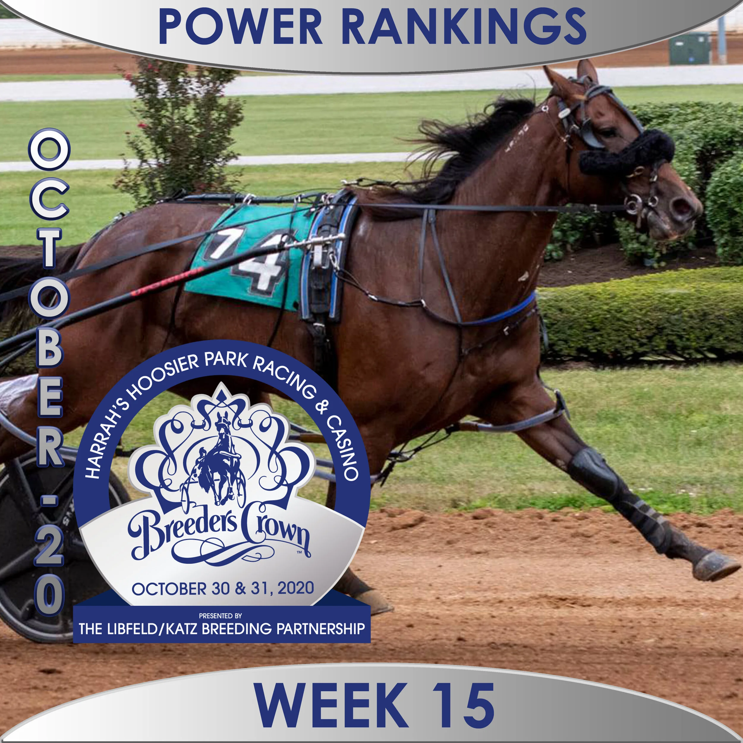 Little movement in this week’s poll