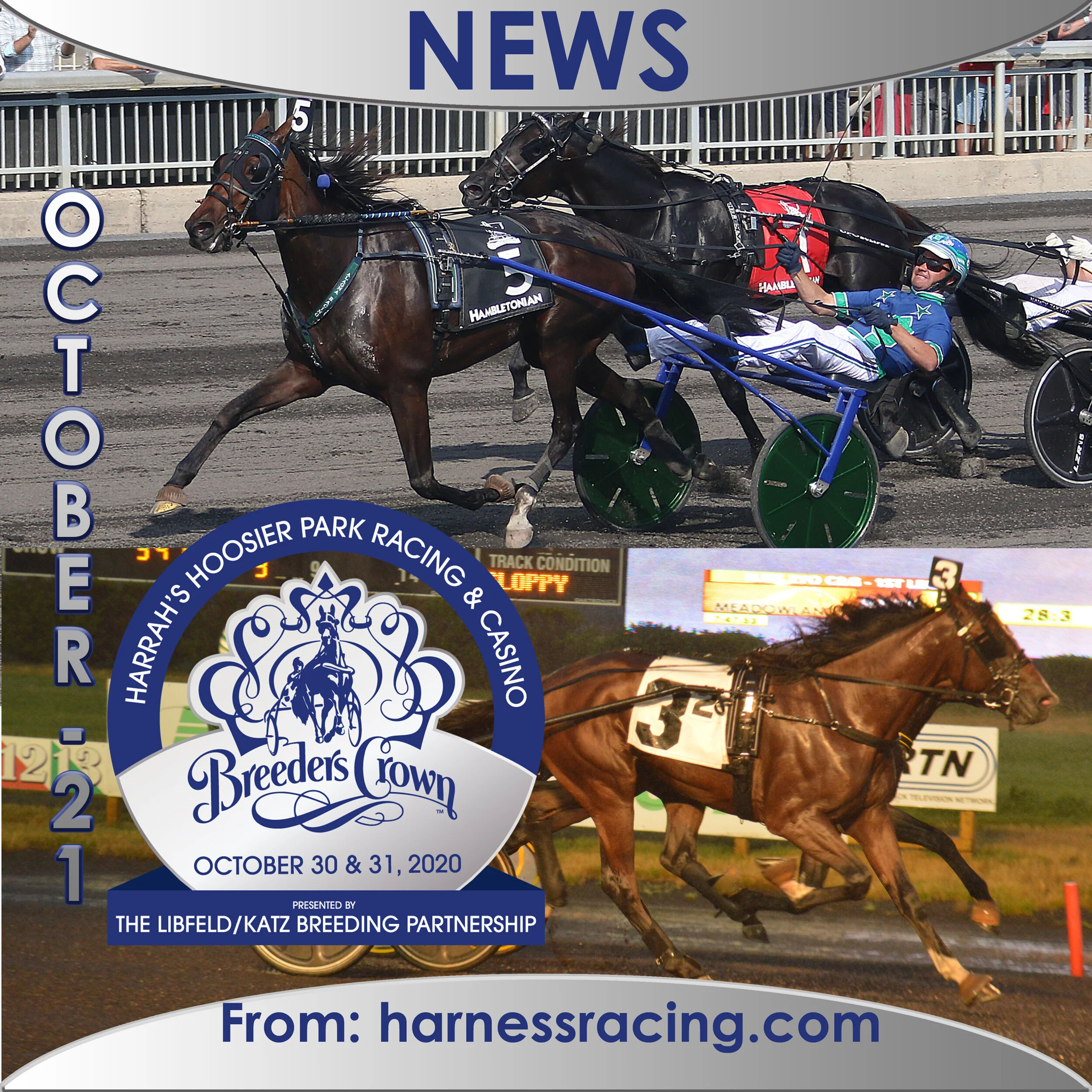 Ramona Hill and Southwind Tyrion absent from Breeders Crown