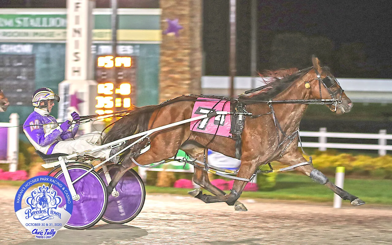 continualou tully.jpg