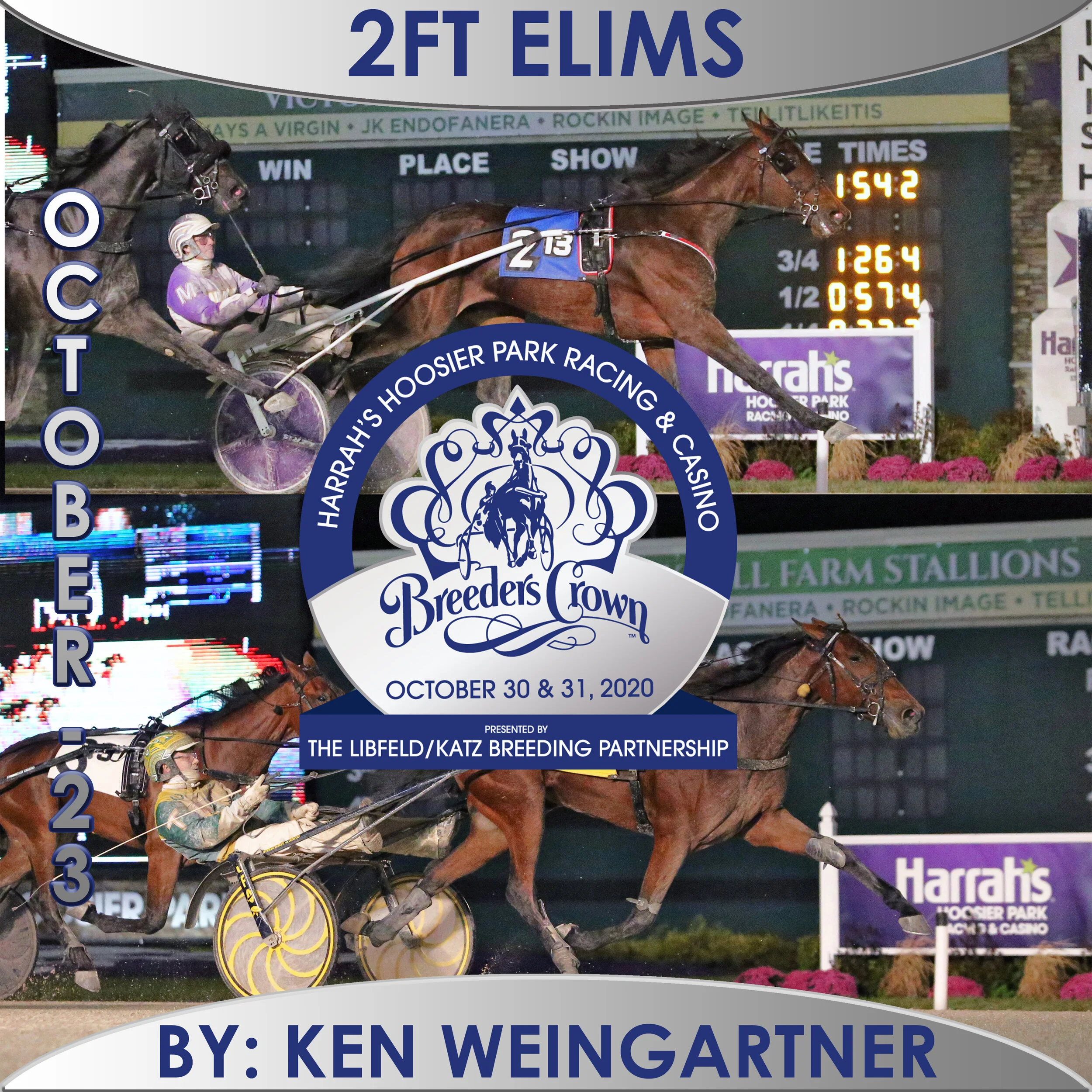  Mazzarati stuns at 24-1 in Crown rookie filly trot elim