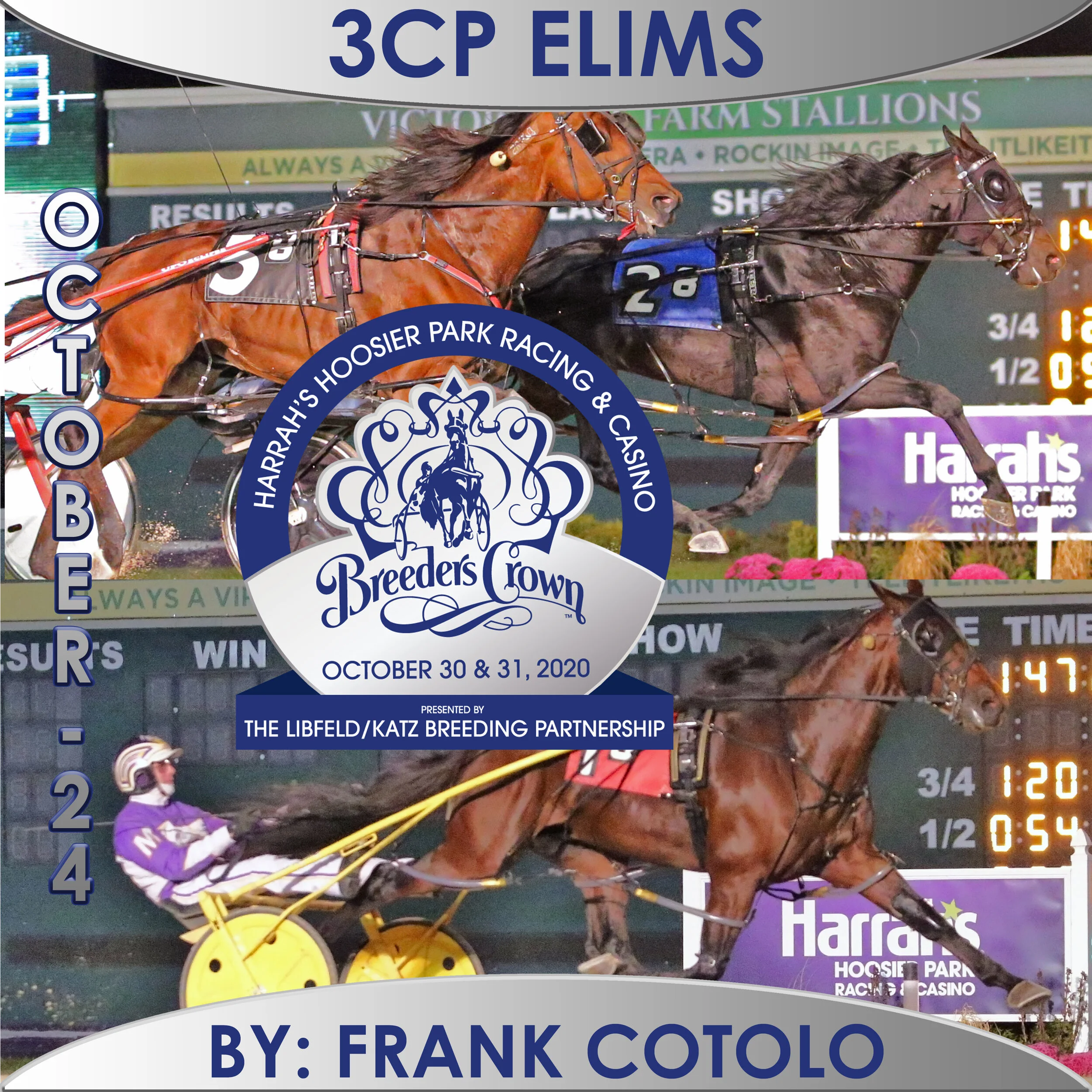 Tall Dark Stranger digs deep again in Crown elim; Cattlewash equals Hoosier track record
