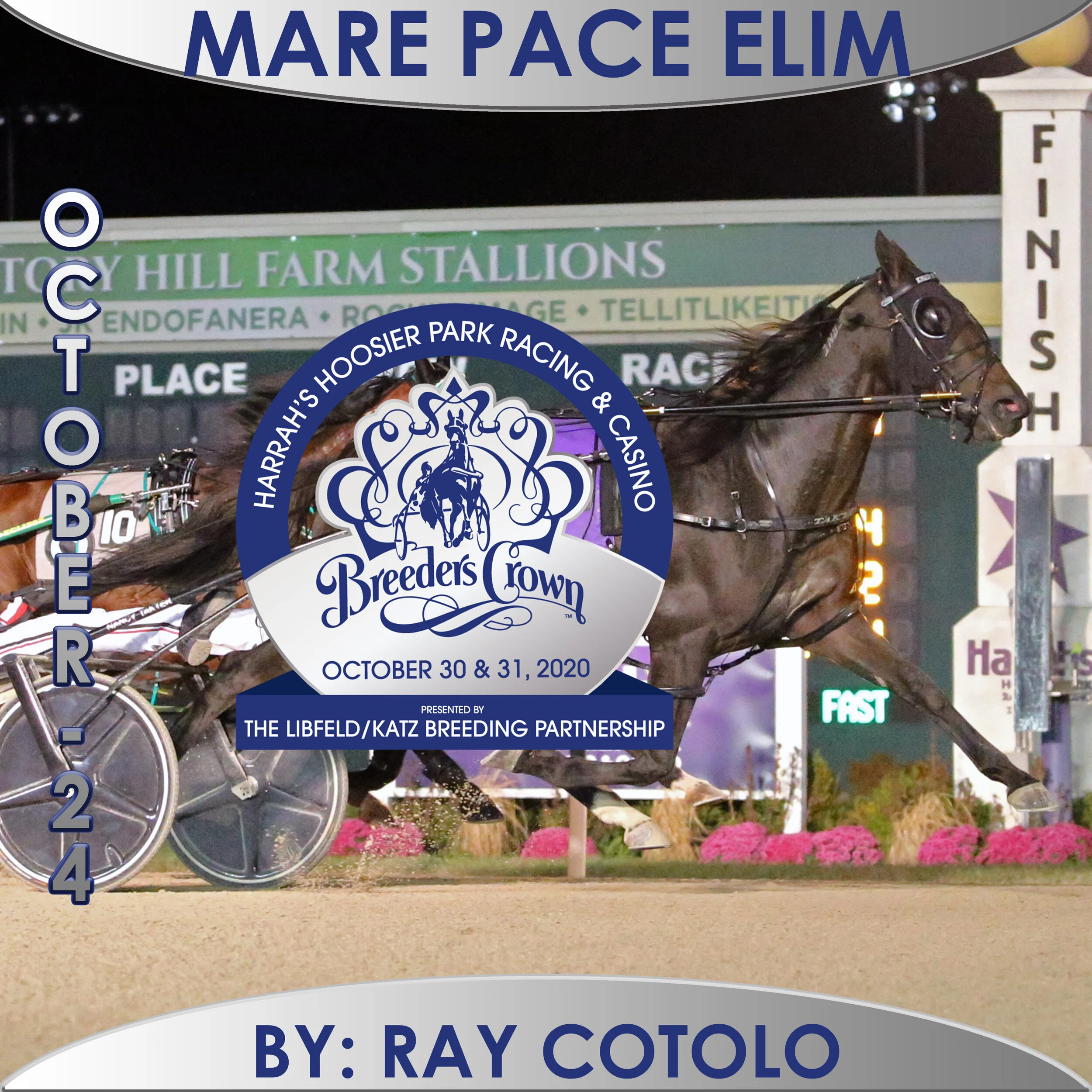 Kissin In The Sand downs Shartin N in Crown Mare Pace elimination