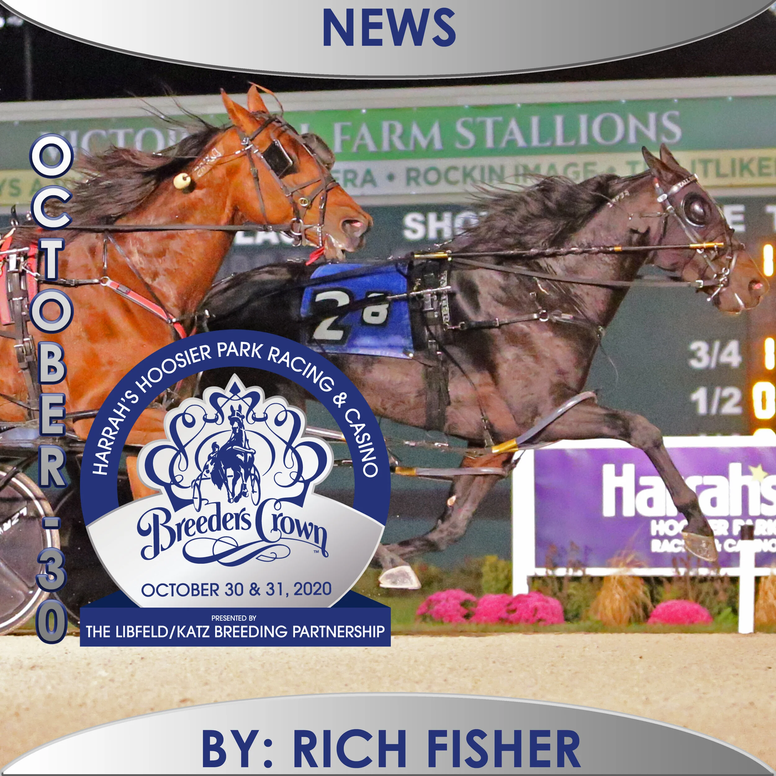 Tall Dark Stranger looks to repeat as Crown winner