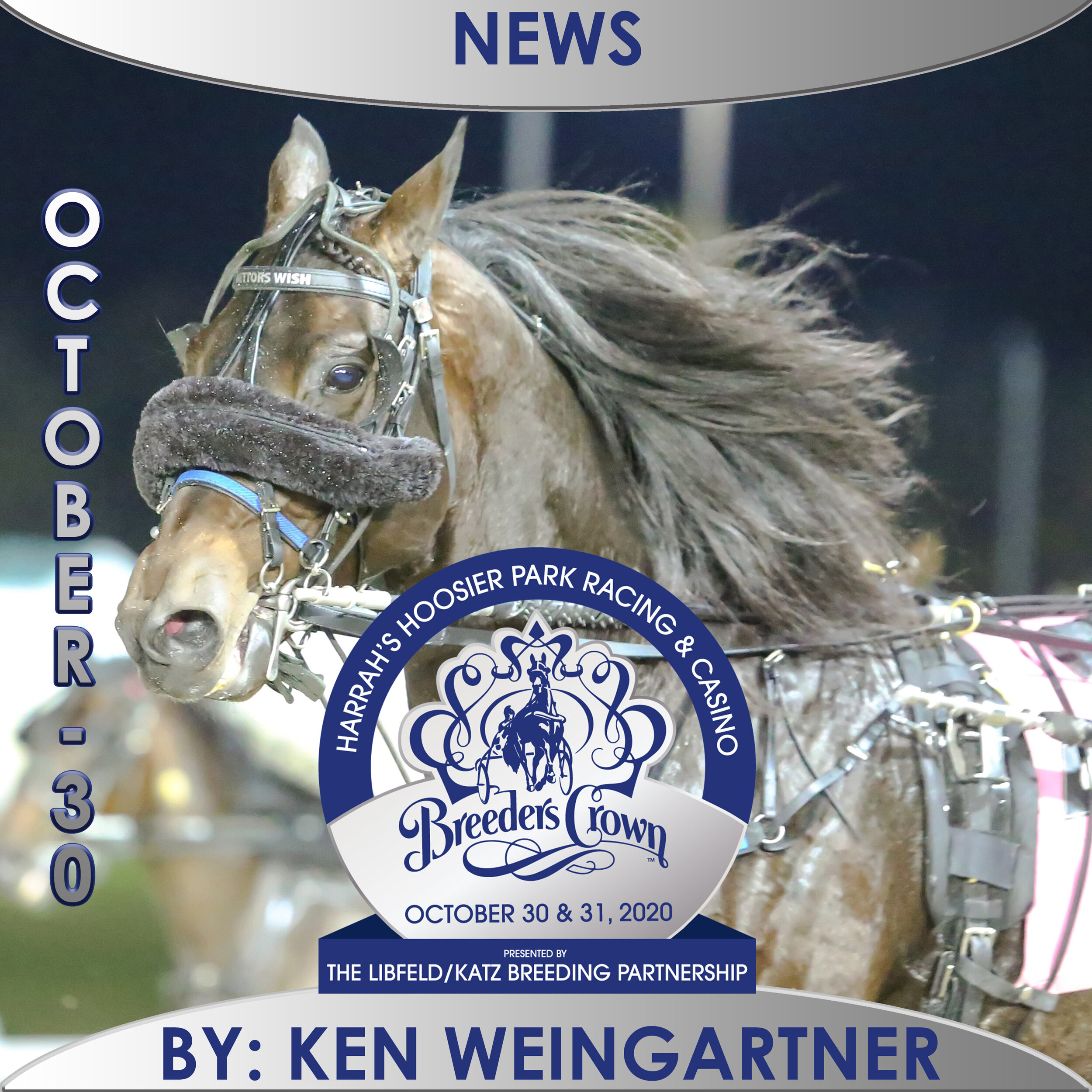  It’s all systems go for Chris Ryder in Breeders Crown