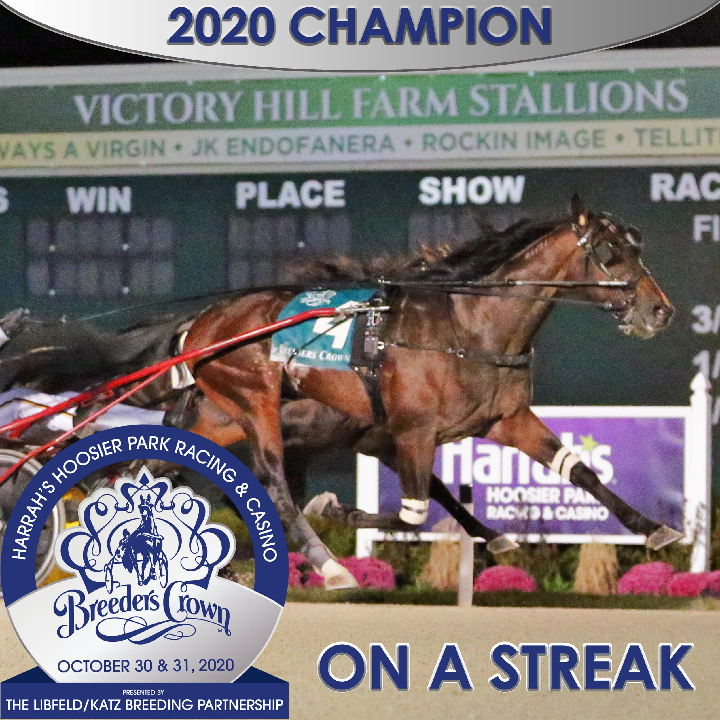 On A Streak rewrites Crown record book in rookie colt trot