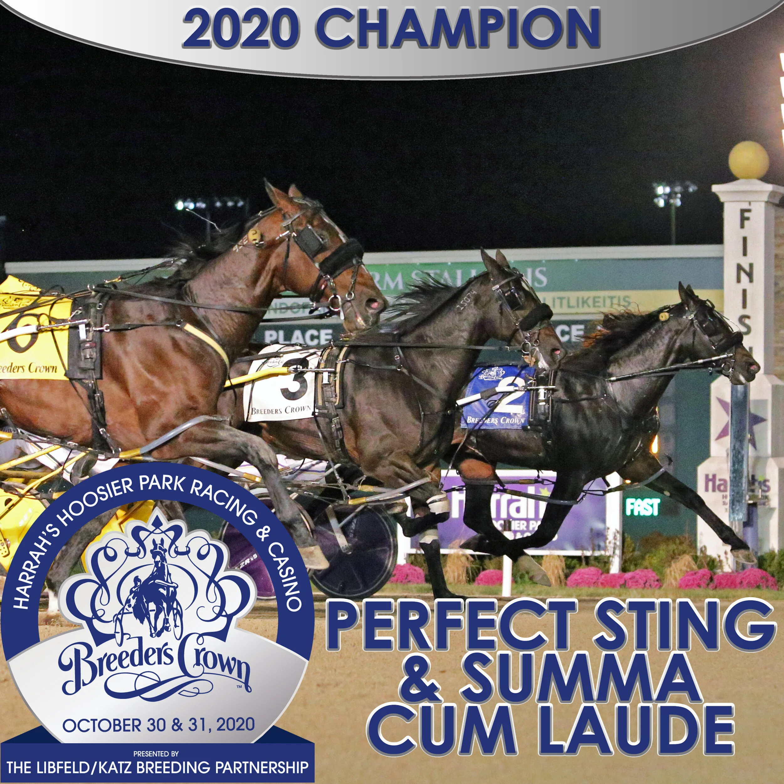 Perfect Sting, Summa Cum Laude dead heat in Crown freshman colt and gelding pace