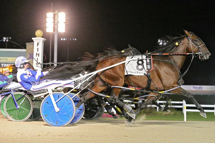 Sent off at over 200-1, Sandbetweenmytoes emerged down the grandstand side to upset Tall Dark Stranger in the Breeders Crown for sophomore pacing colts and geldings. Dean Gillette Photography.