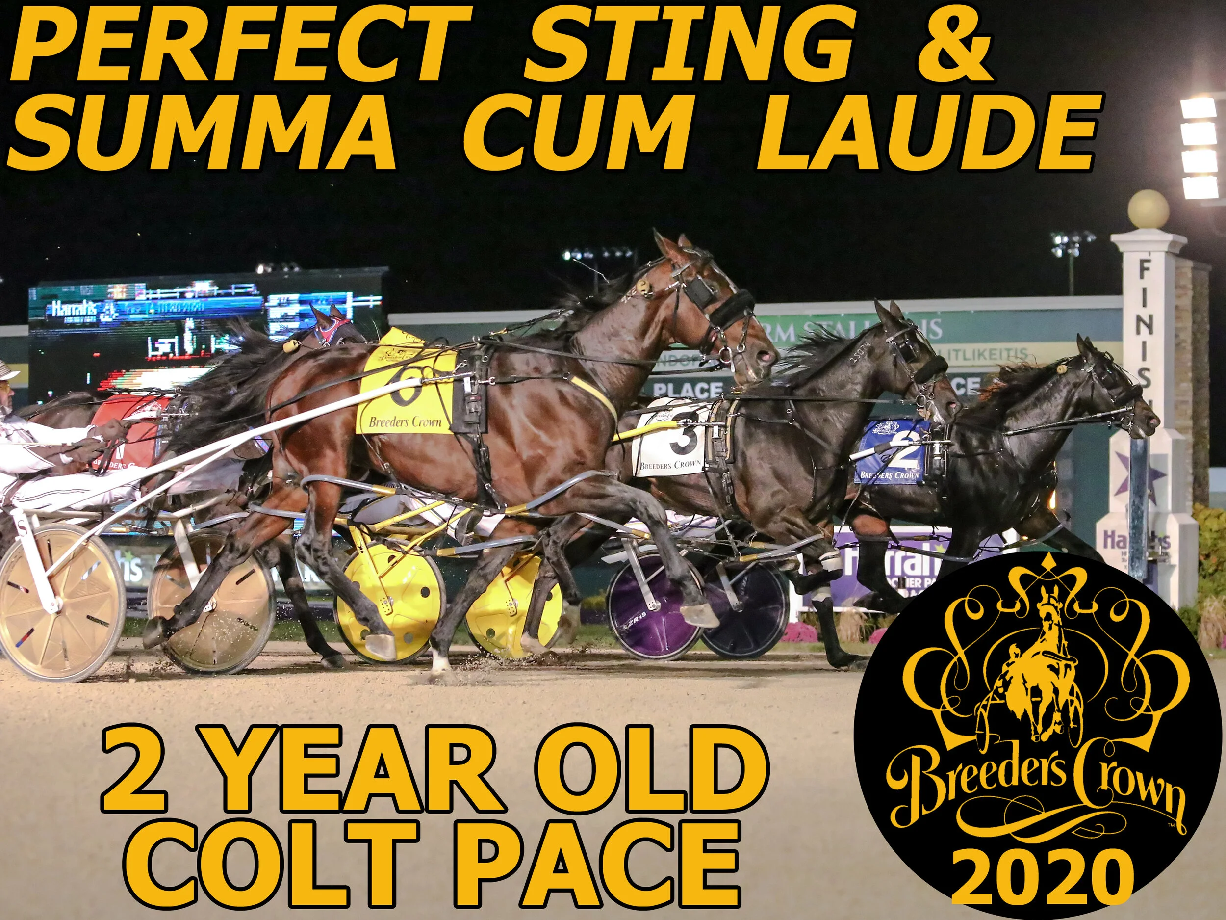 Perfect Sting &amp; Summa Cum Laude - 2CP