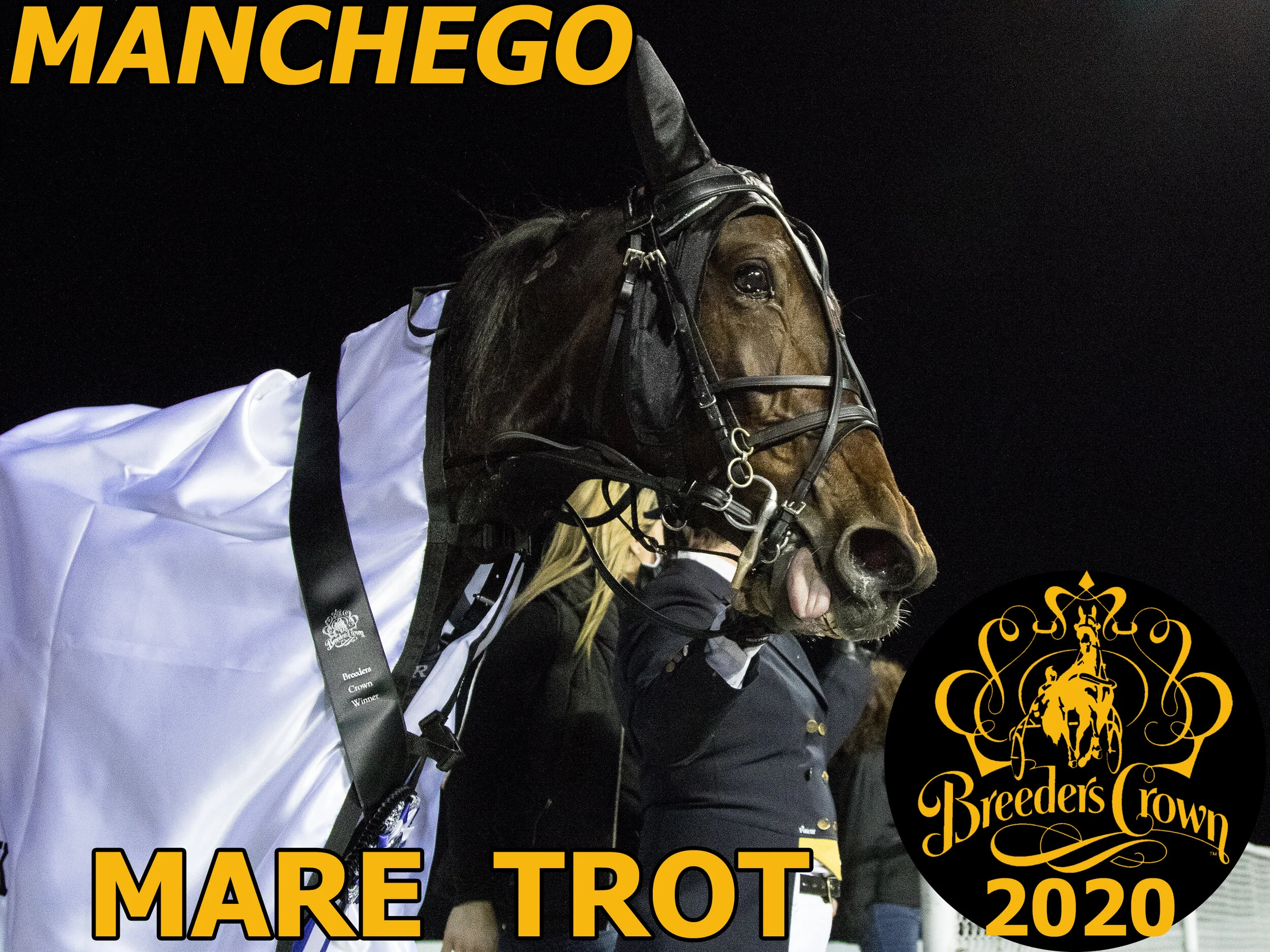 manchego mt champ.jpg