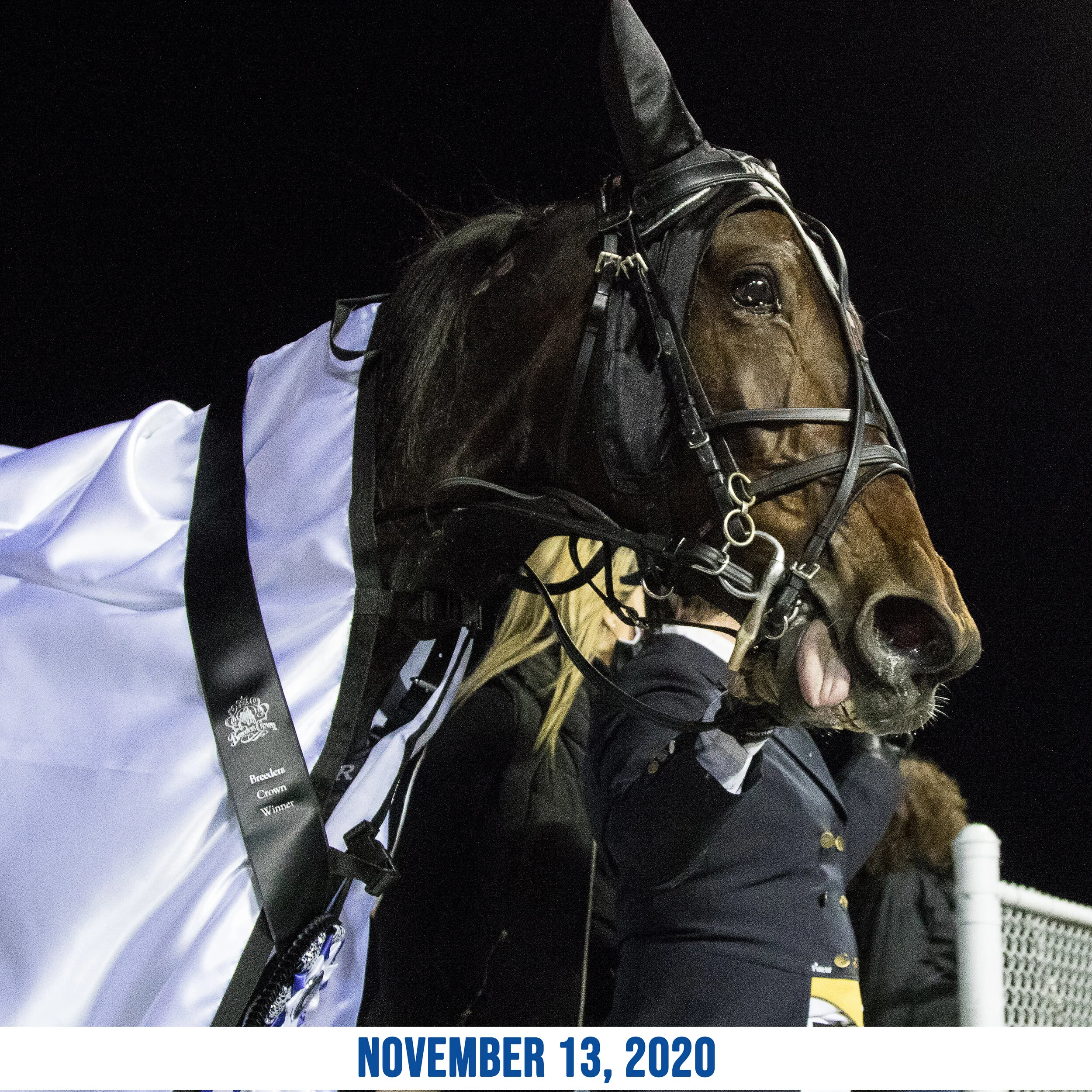 Manchego to retire following TVG Series championship